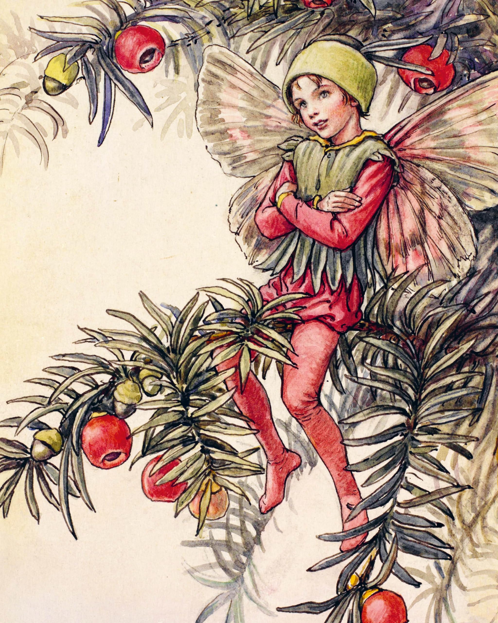 Cut Out and Collage Flower Fairies: Cut Out and Keep Flower Fairies for Arts and Craft
