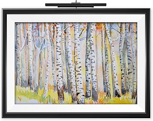 Iluminación situ luz de arte LED inalámbrica y recargable - Serie Touch fabricada en Estados Unidos (negro, 2700K) disponible en Yaxa Venezuela