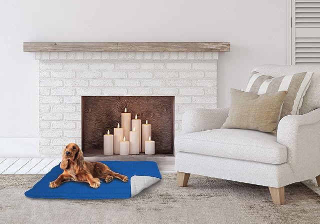 Elegant Cojín para Perros, Azul Royal y Gris Claro