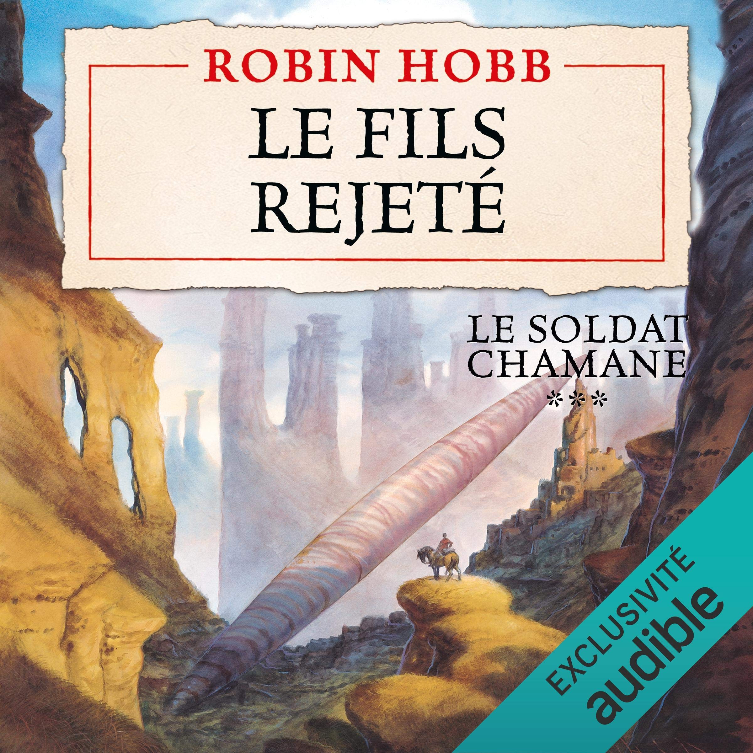 Cover art for Le fils rejeté