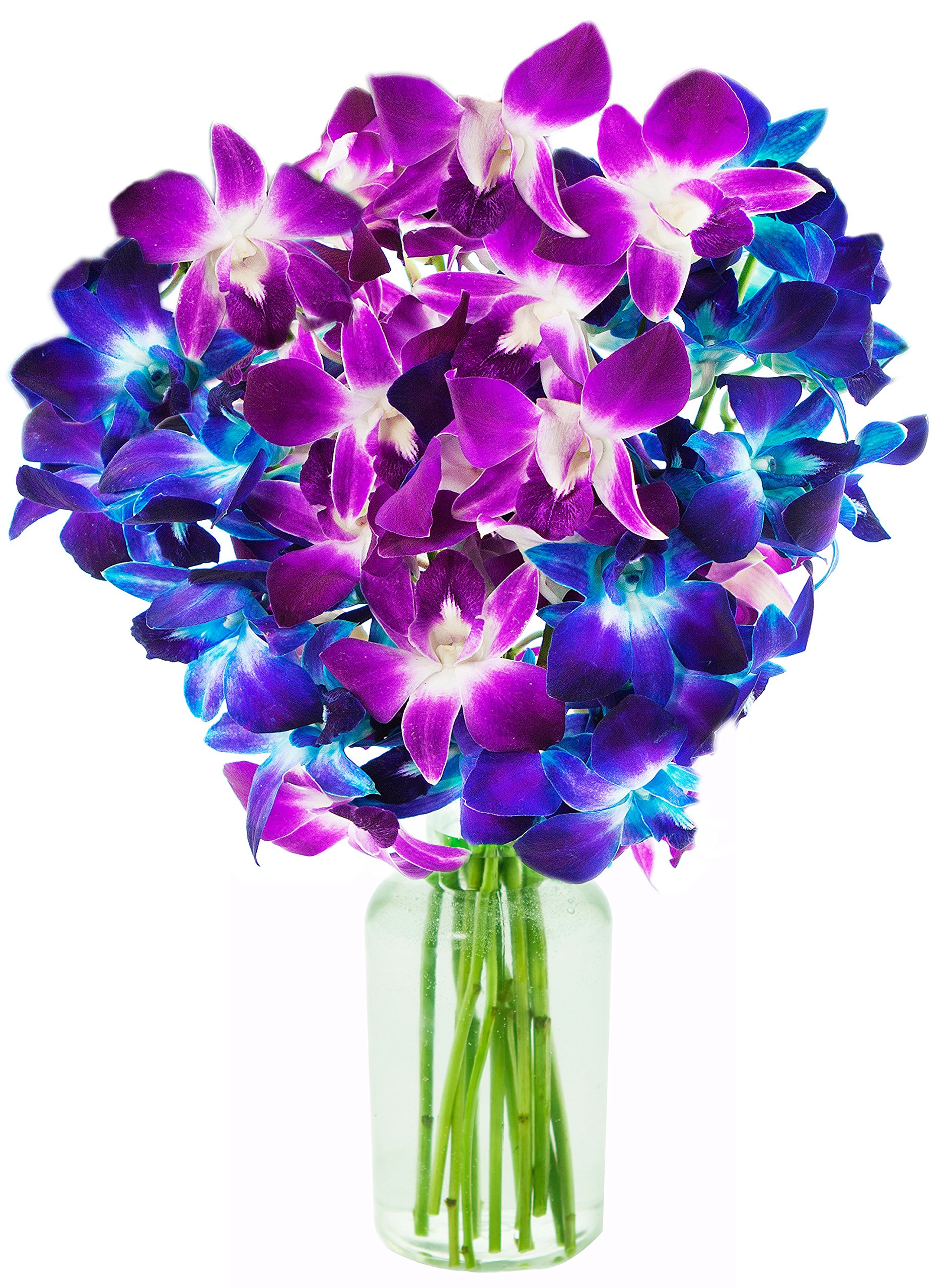 KaBloom Exotic Orchid Bouquet