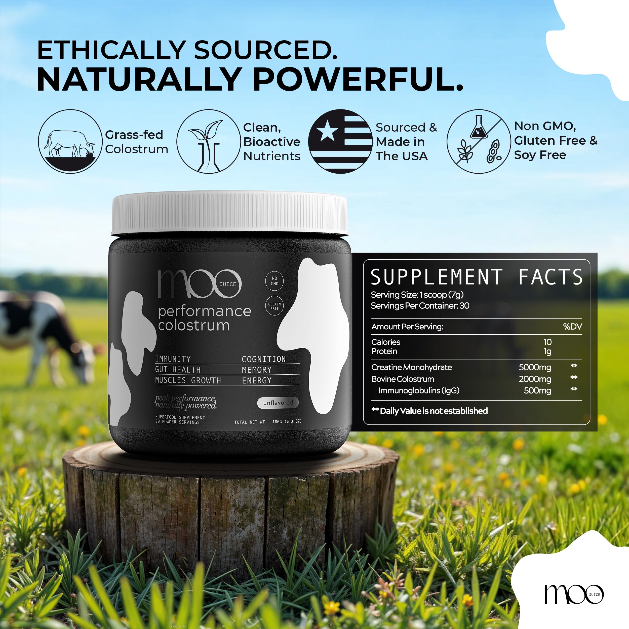 Moo Juice Colostrum Powder with Creatine Monohydrate | 2000mg Grass-Fed Bovine Colostrum + 5000mg Creatine | Bloat-Free Performance Combo | Unflavoured 7.41oz — Amazon image 6