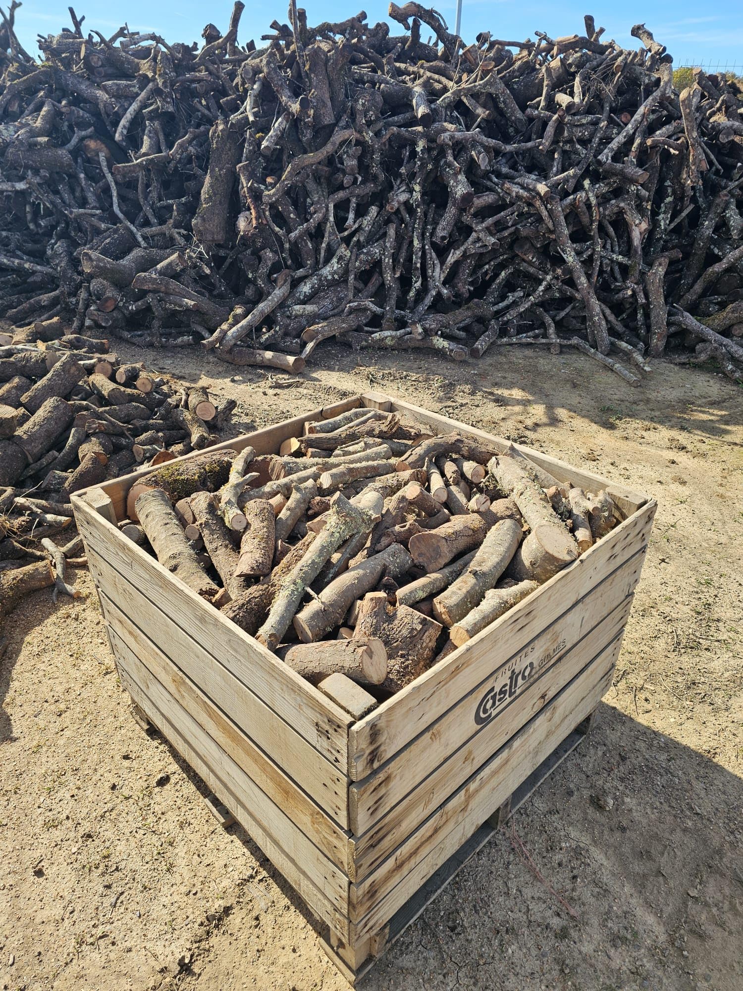 Cajón Leña de Encina 1200kg (3x400). Leña para Chimenea, Caldera y/o Estufa. Leñas de Las más duras Que Hay. Tiene una Larga consistencia y duración. Troncos medianos. Leñas Encina.
