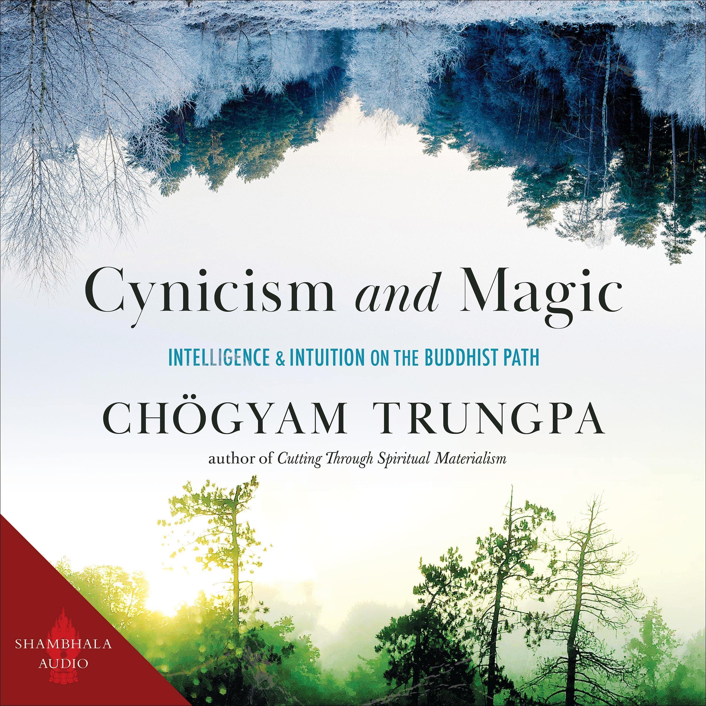 Cover art for Cynicism and Magic