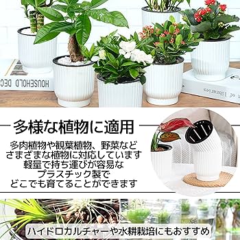その他観葉植物 user_1242a77b 観葉植物 ユッカ 10号 ノーマル ベータ キューブプランター 黒