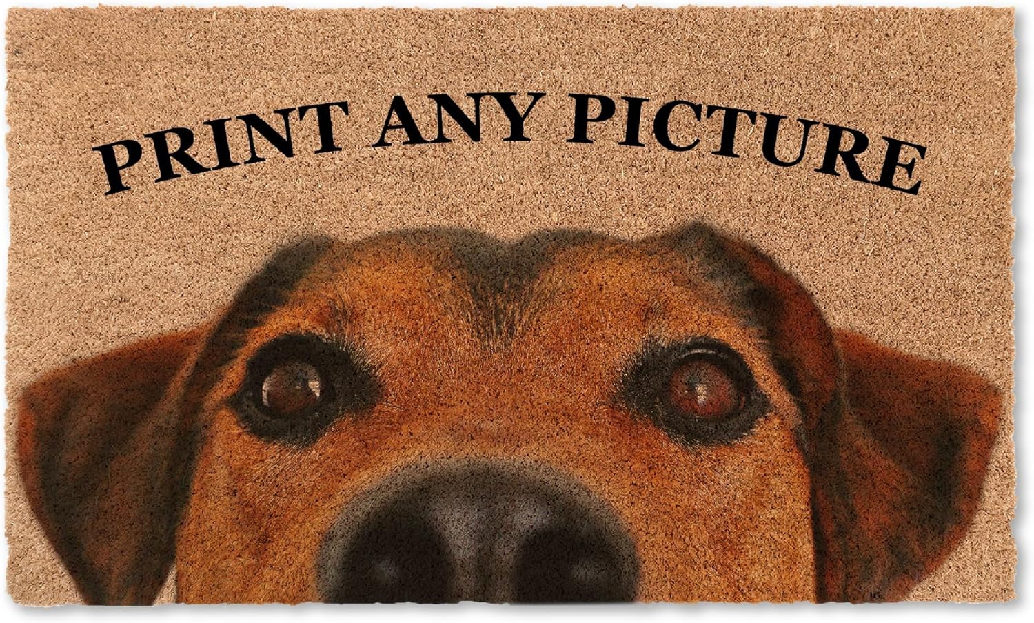 Coco Mats N More Personalized Picture Doormat