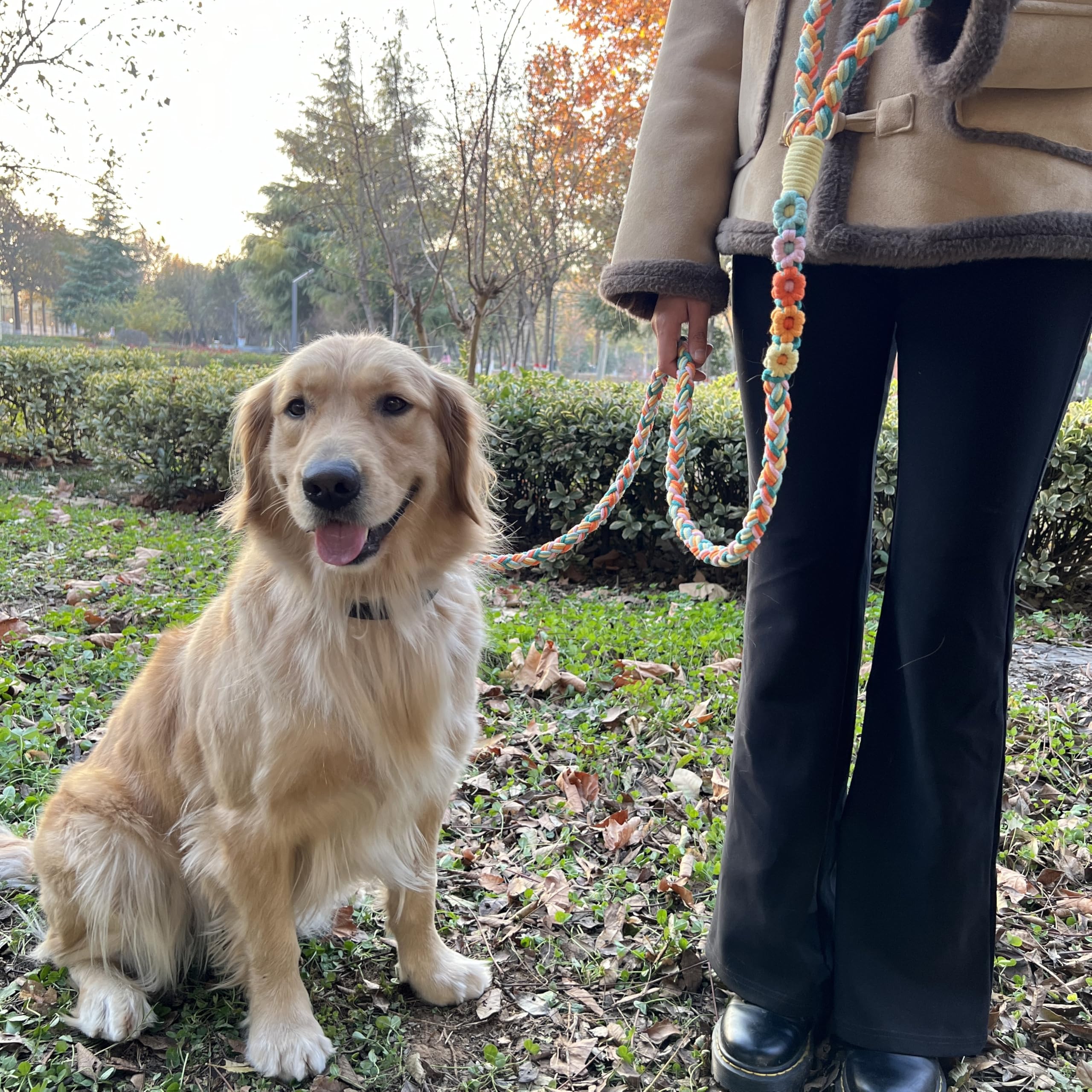 Correa de algodón Trenzado Hecha a Mano de 5 pies con Mango Floral único, Duradera y Elegante, Ideal para Perros pequeños a Grandes, Mezcla de arcoíris