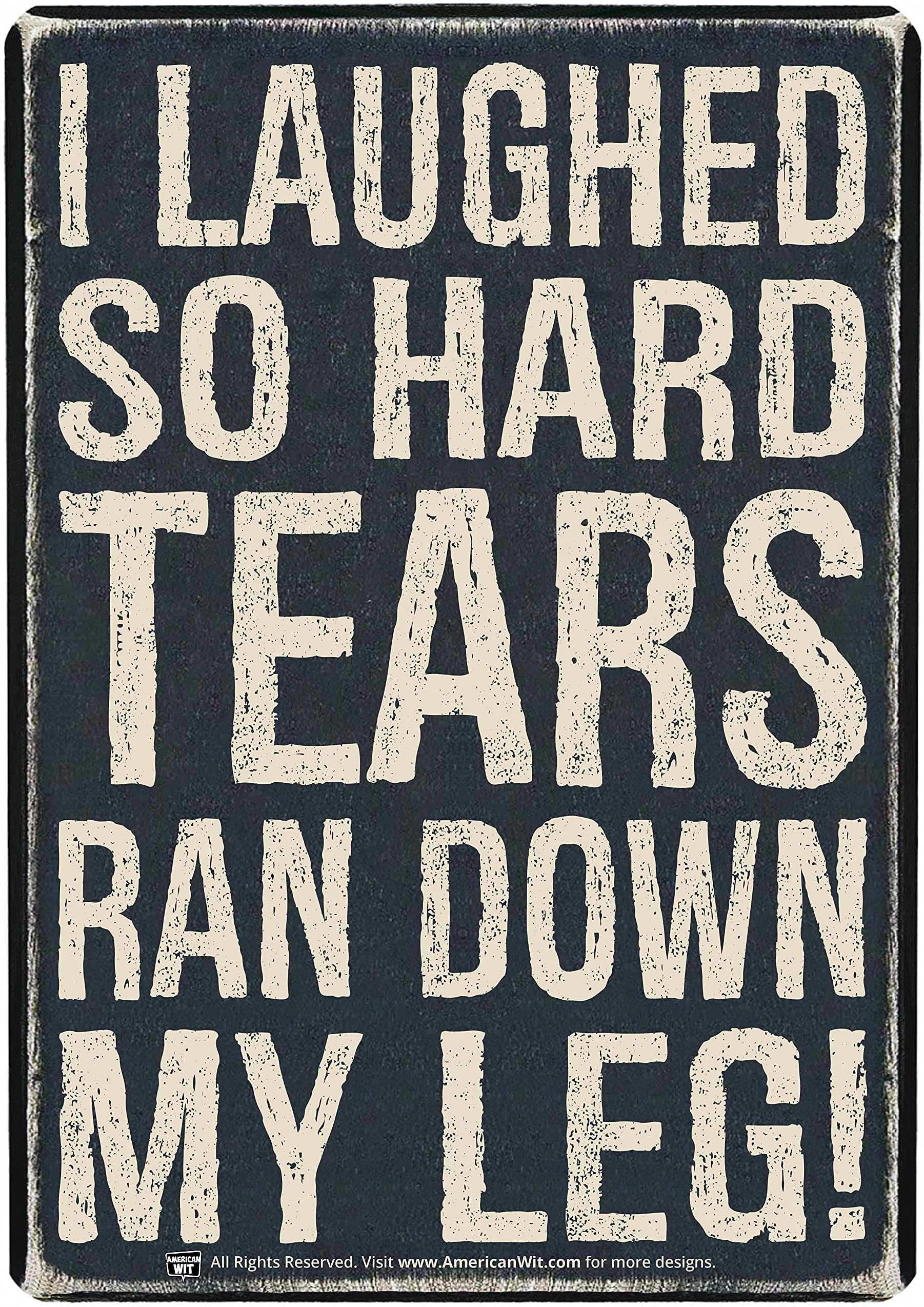 AMERICAN WIT fUNNY Quote Metal Tin Wall Rusty Retro Looking Sign (16" x 12.5") (I LAUGHED SO HARD TEARS RAN DOWN MY LEG!)