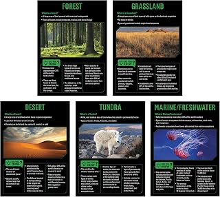 Creative Teaching Press Ecosystems 5-Poster Set (Display in Classrooms, Walls, Hallways, Learning Spaces, Common Areas and More)