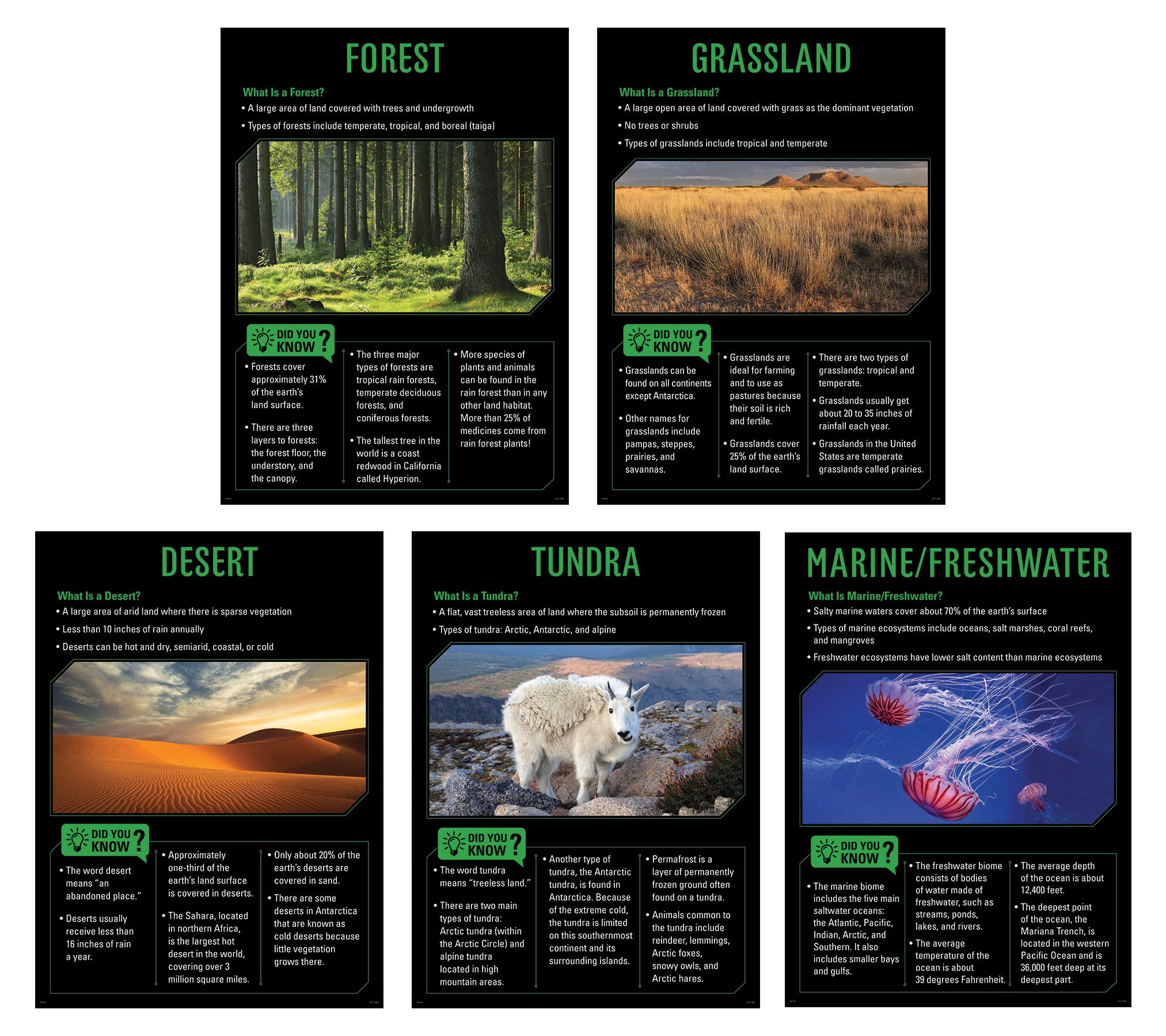 Creative Teaching Press Ecosystems 5-Poster Set (Display in Classrooms, Walls, Hallways, Learning Spaces, Common Areas and More)