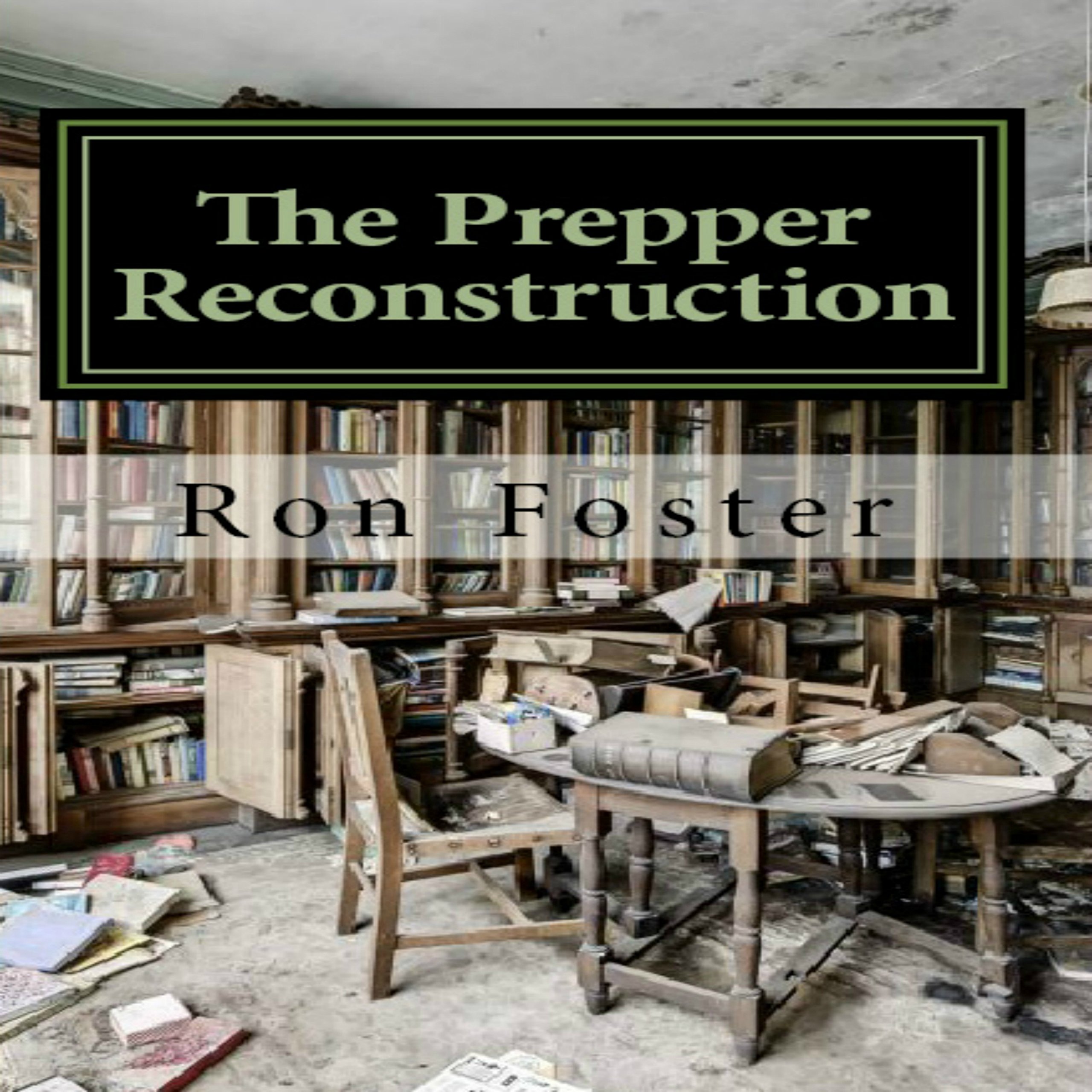 Cover art for The Prepper Reconstruction