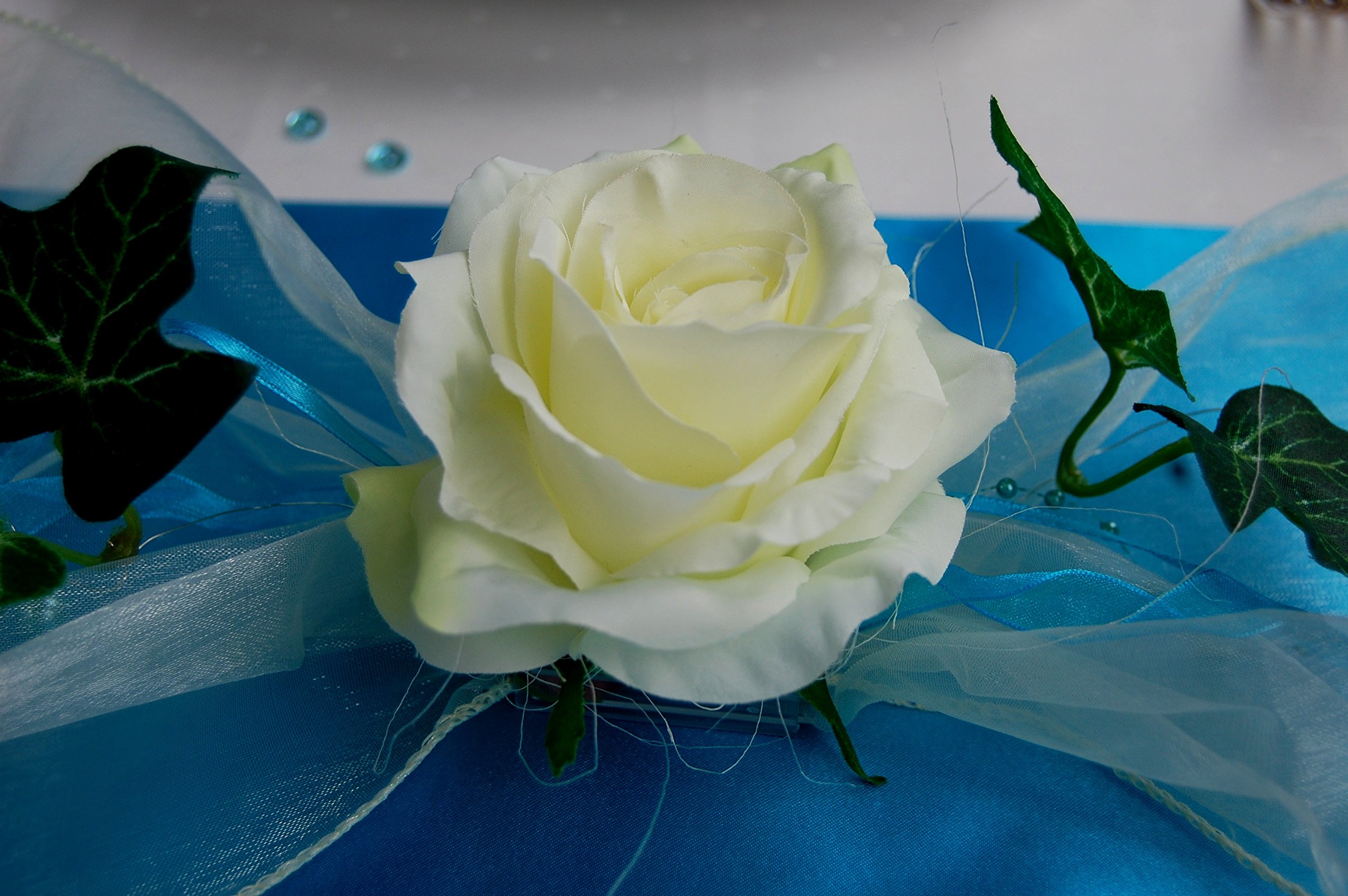 Tischdeko Komplett Set FLAIR TÜRKIS Tischdekoration für Hochzeit Taufe Geburtstag Kommunion Konfirmation Jubiläum in türkis-creme für 16-20 Personen