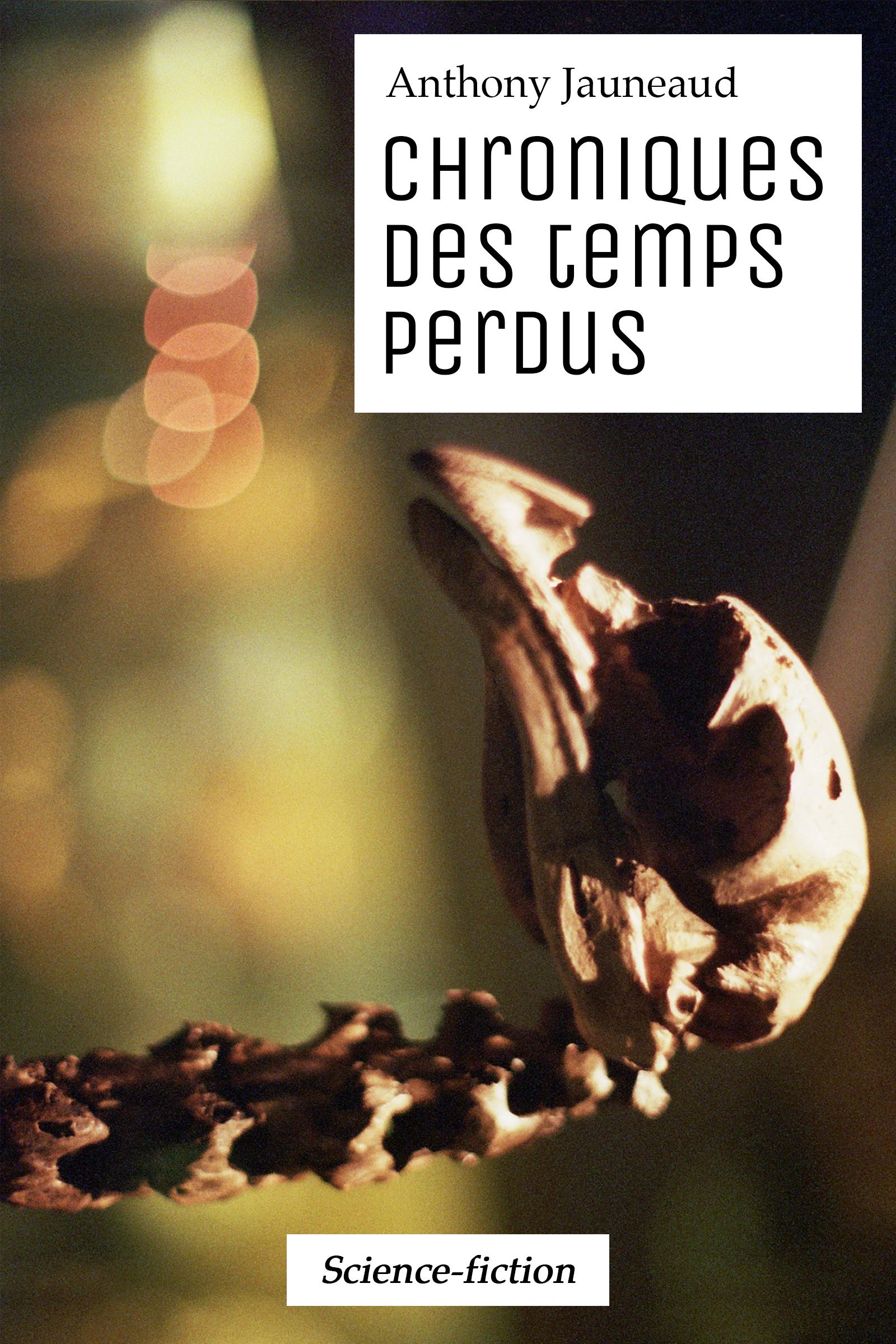 Chroniques de temps perdus (French Edition)