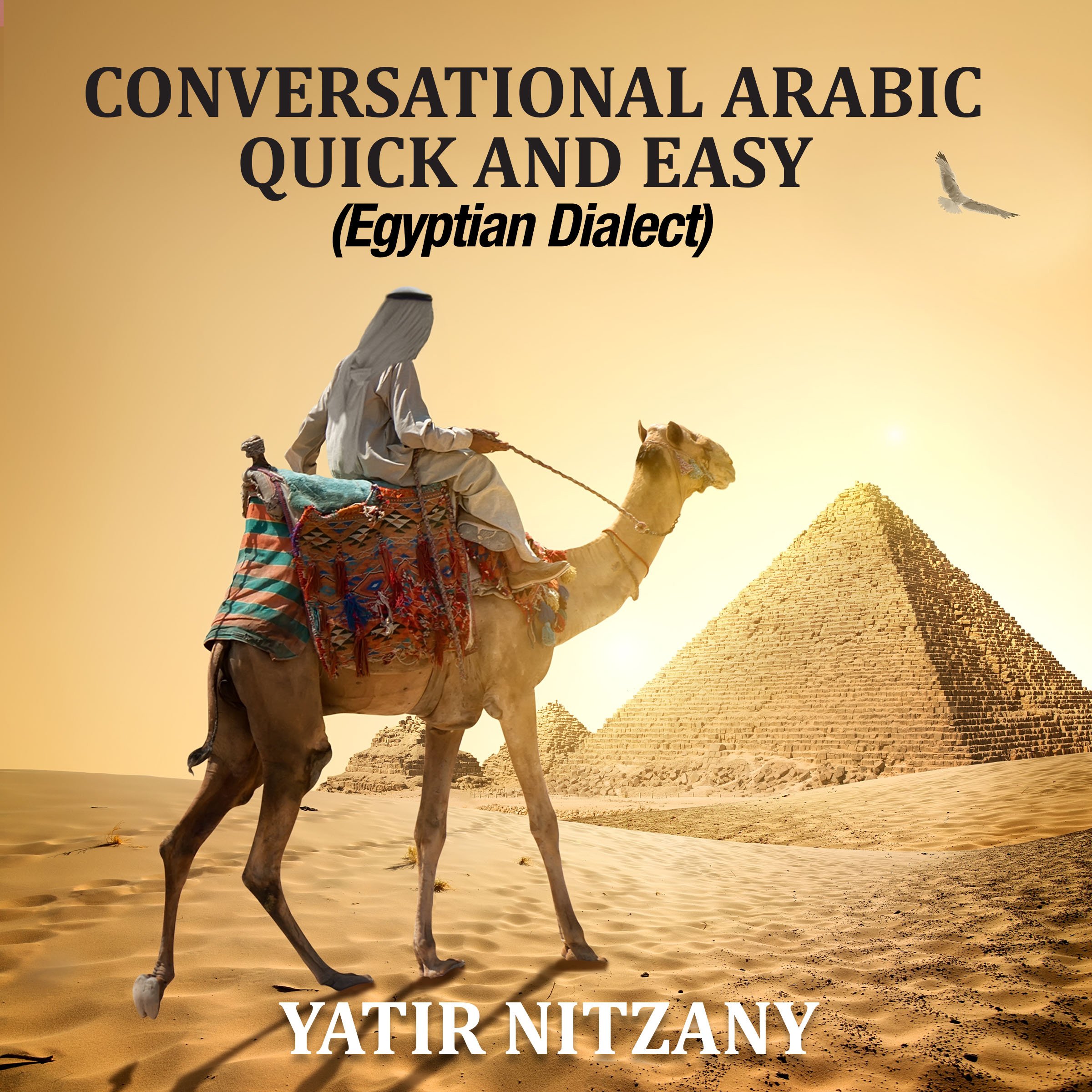 Cover art for Conversational Arabic Quick and Easy
