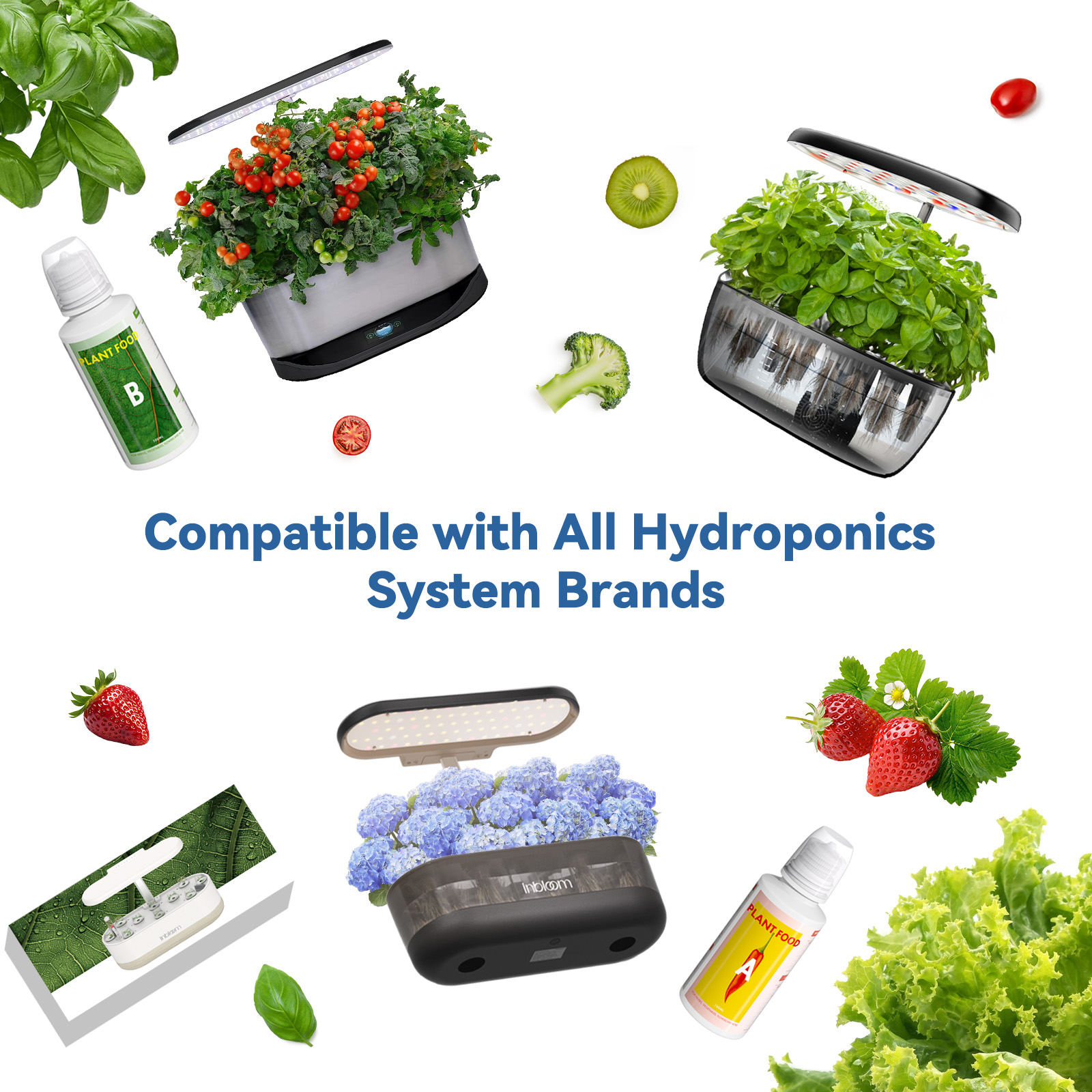 Amazon.com : inbloom Asian Herb Seed Pod Kit for AeroGarden