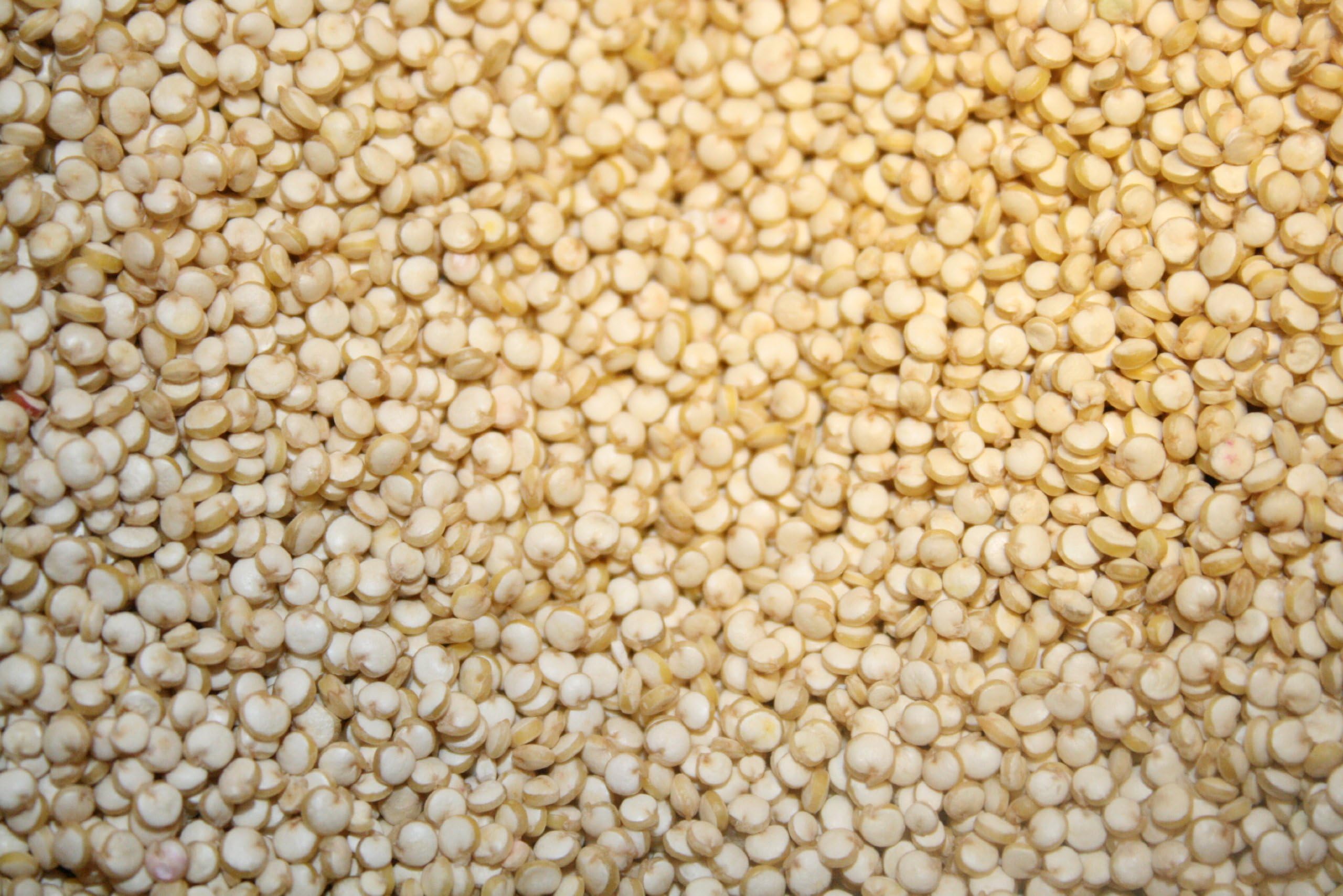 Quinoa, Organic, 5# Bulk
