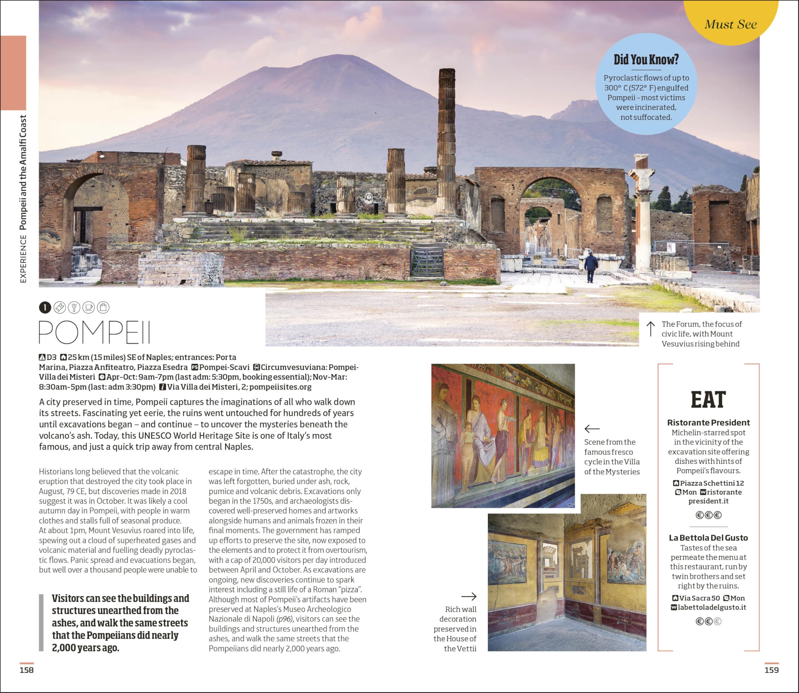 DK Naples and the Amalfi Coast: Must-See Sights. Culture & History. Detailed Maps & Tours. Covers Naples, Pompeii, & more