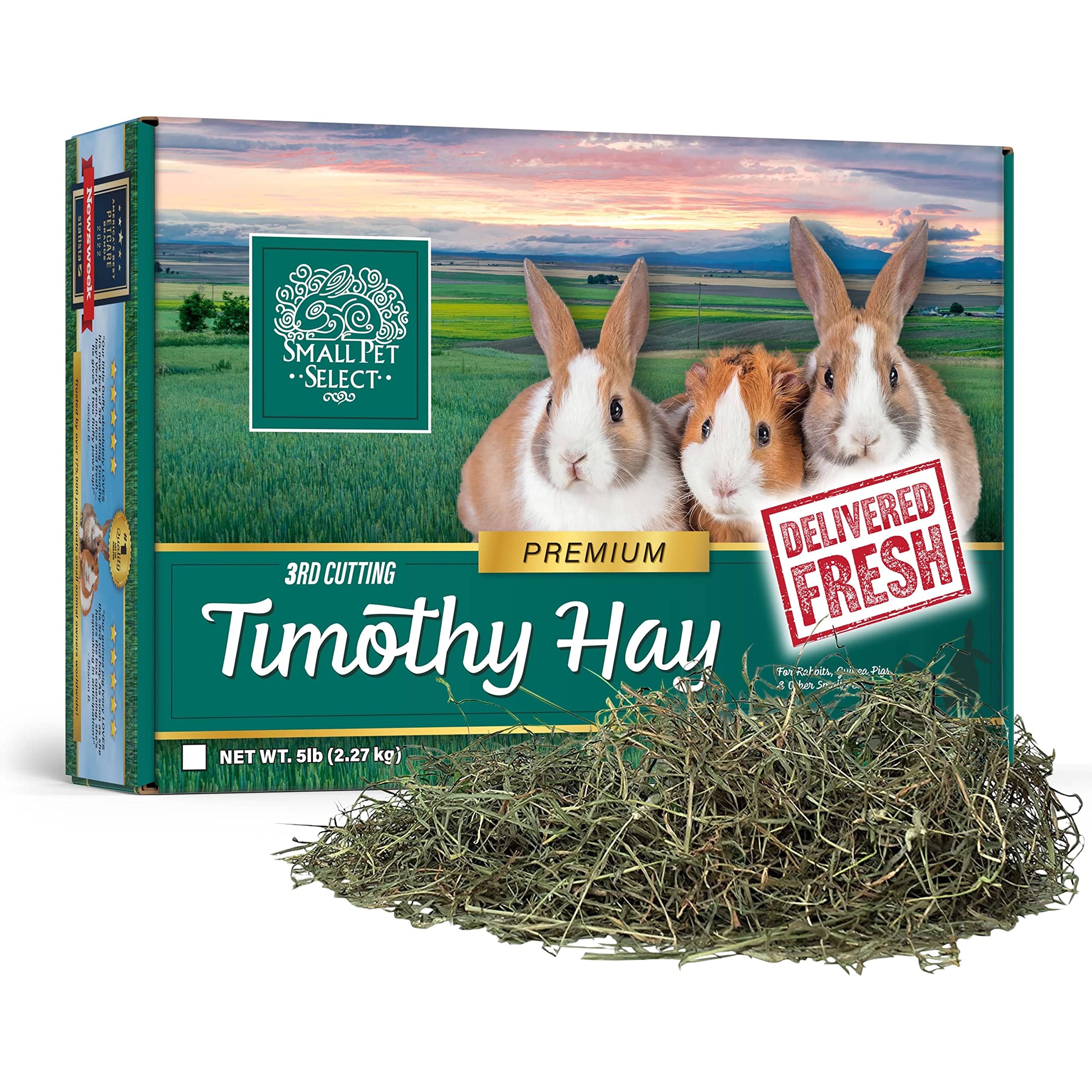 Small Pet Select 3rd Cutting Super Soft Timothy Hay Pet Food for Picky Eaters, Rabbits, Guinea Pigs, and Other Small Animals, Easy to Store Box, 5lbs (2.68kg)