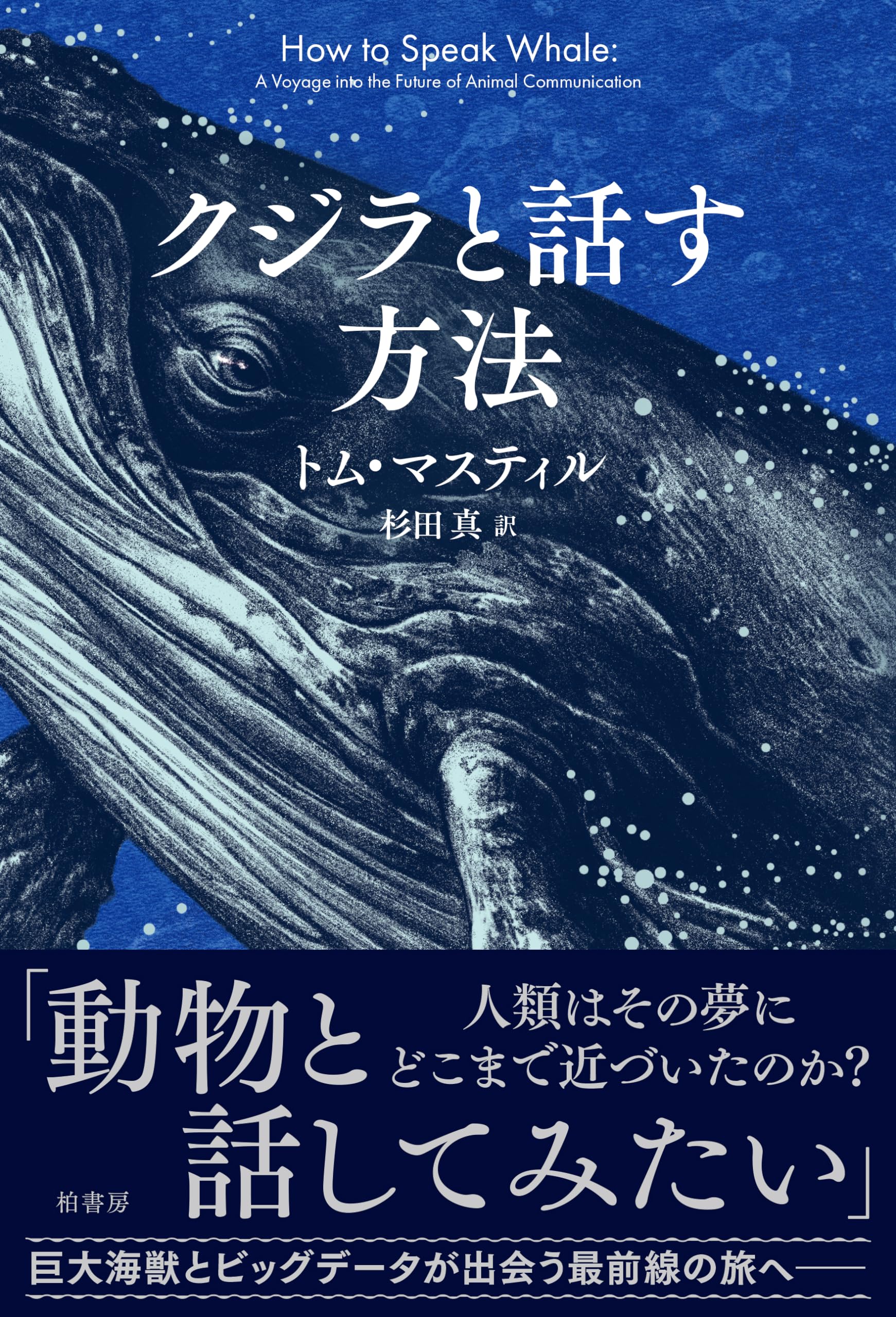 クジラと話す方法 | トム マスティル, 杉田 真 |本 | 通販 | Amazon