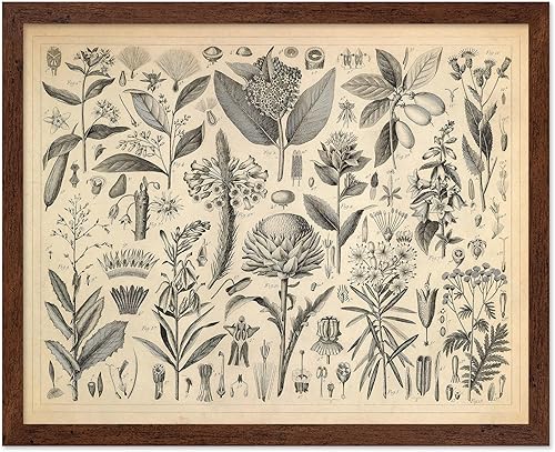 Miniatura 12 de Poster Master Póster de flores vintage, estampado botánico retro, arte floral antiguo, arte de plantas, regalo para hombres y mujeres, gran