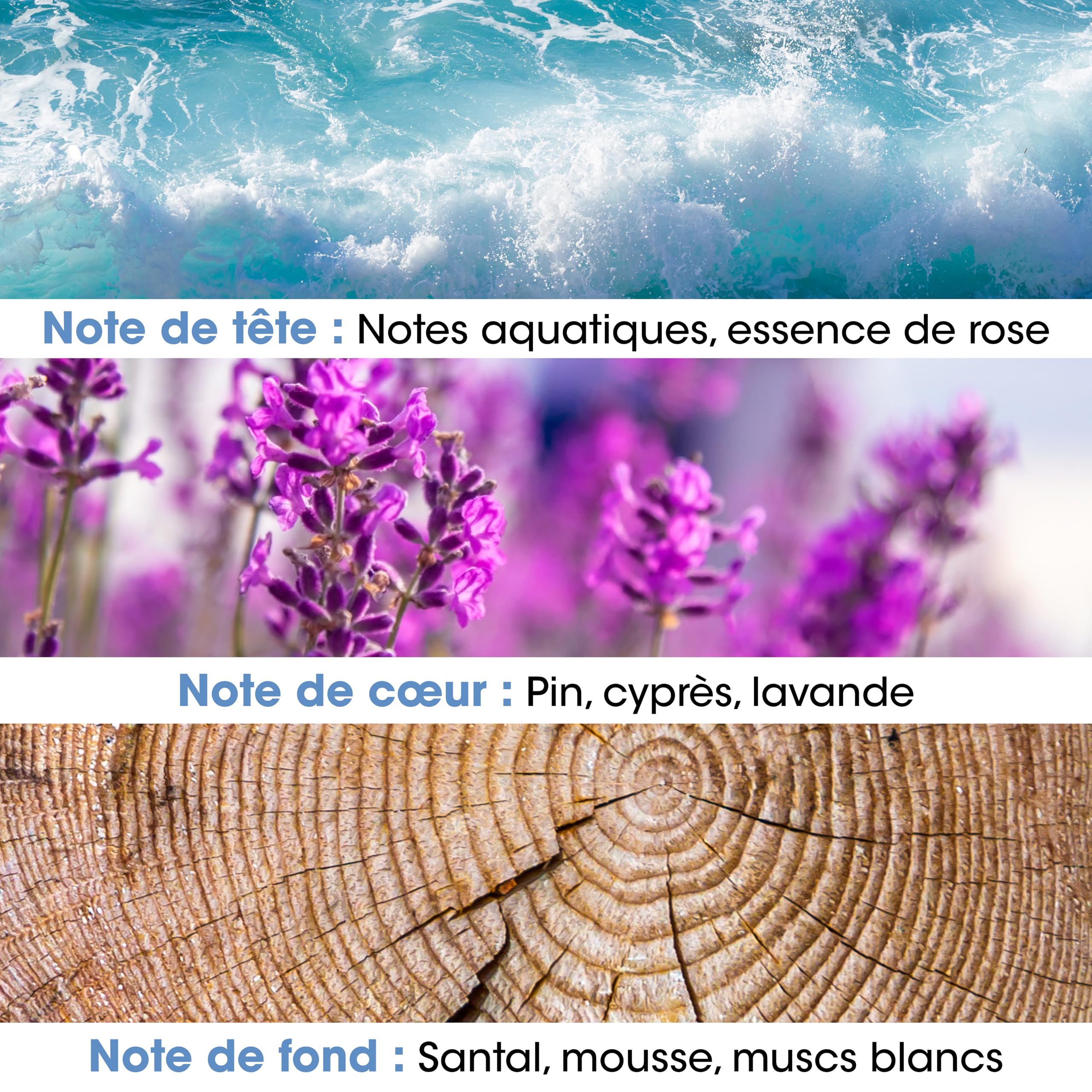 JEANNE EN PROVENCE - Perfumy Homme Acqua - woda toaletowa - butelka z rozpylaczem 100 ml - Wyprodukowano we Francji w Grasse