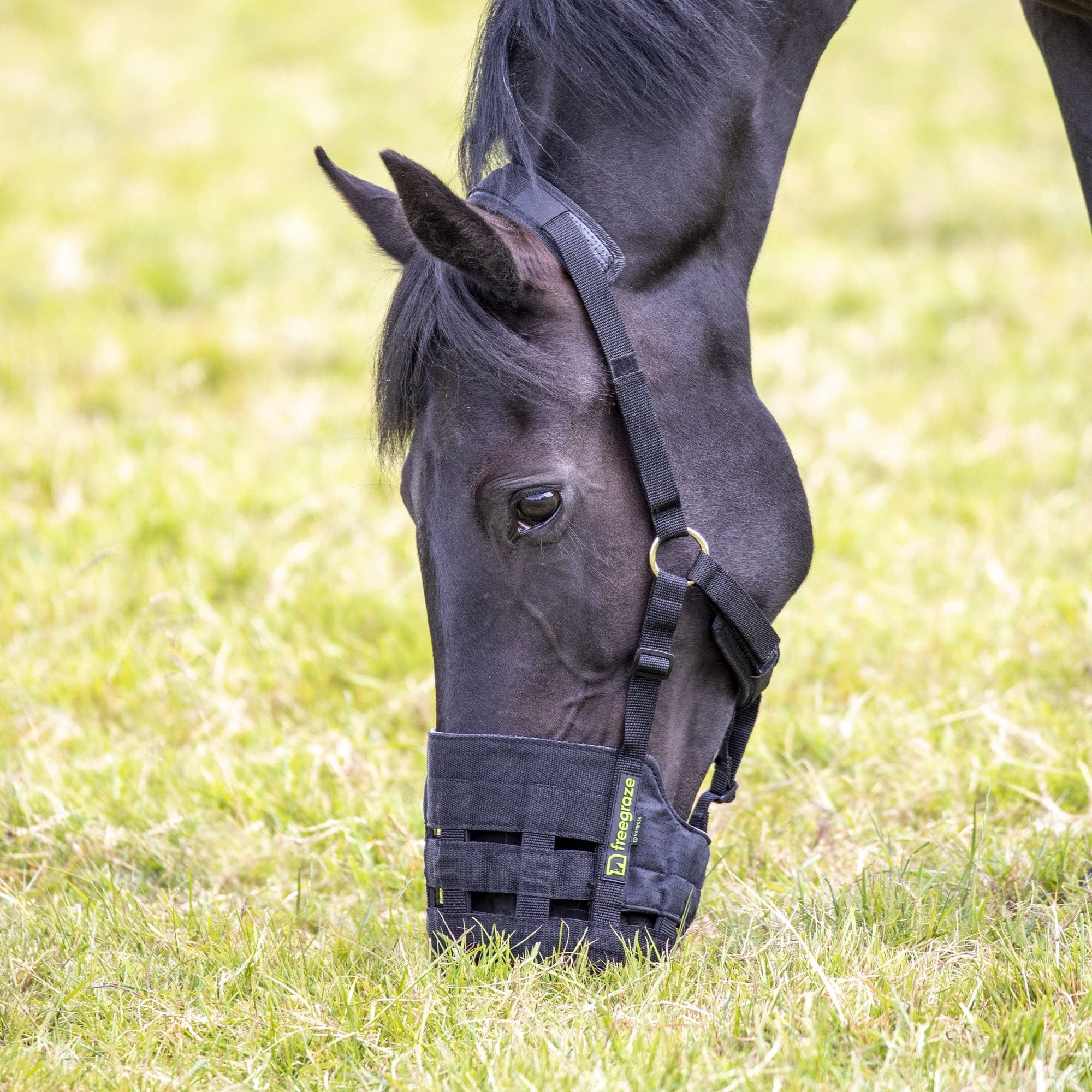Shires Comfort Weidemaulkorb extra voll