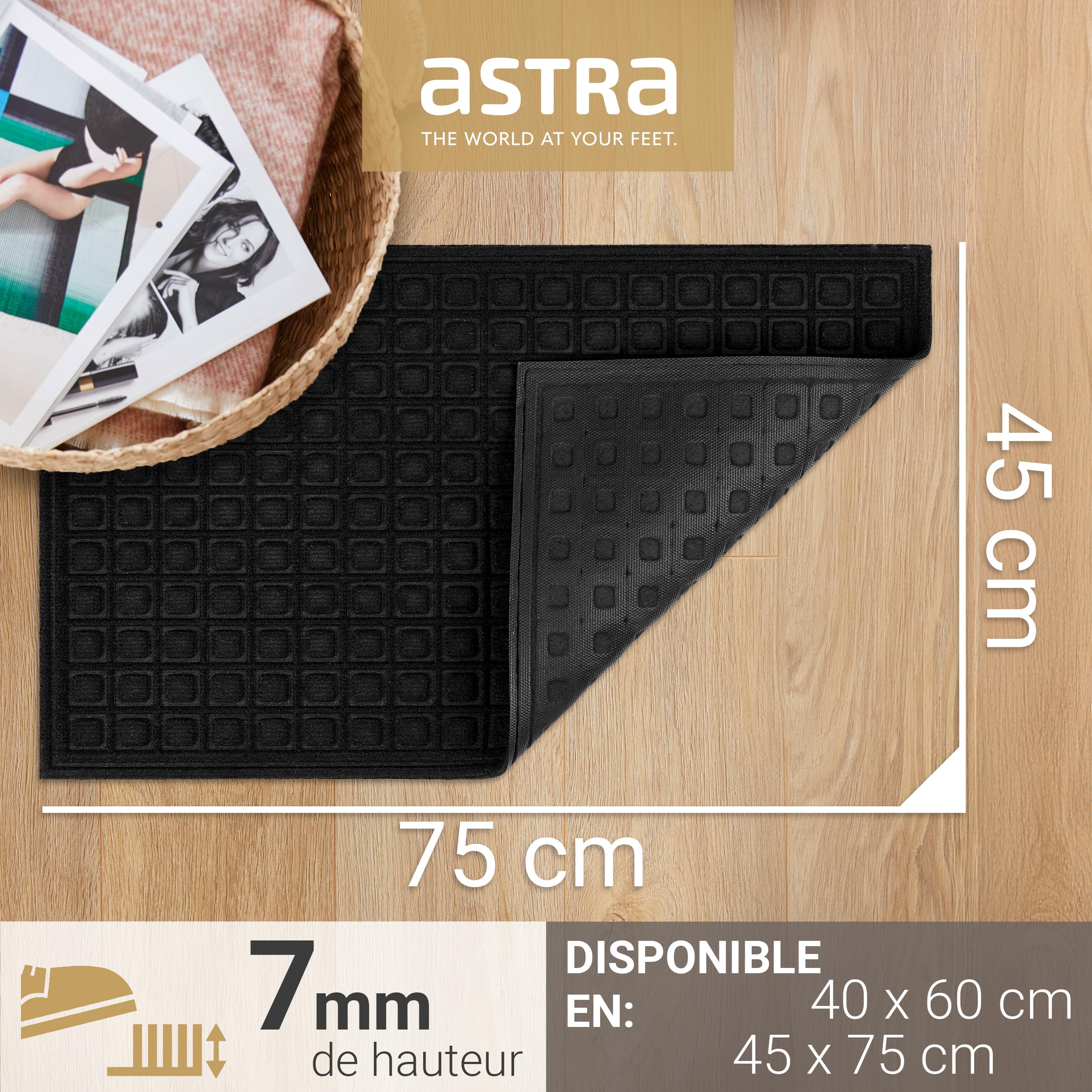 Astra Paillasson extérieur antidérapant - Tapis de propreté résistant aux intempéries - Paillasson extérieur Anti-salissures pour l'entrée - Lot de 2 45 x 75cm - Boîte Noire