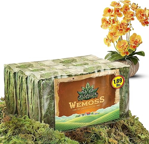 Miniatura 7 de WEMOSS Musgo natural para plantas de interior, musgo seco para plantas en maceta, musgo de orquídea para trasplantar, musgo de bosque para mezcla de