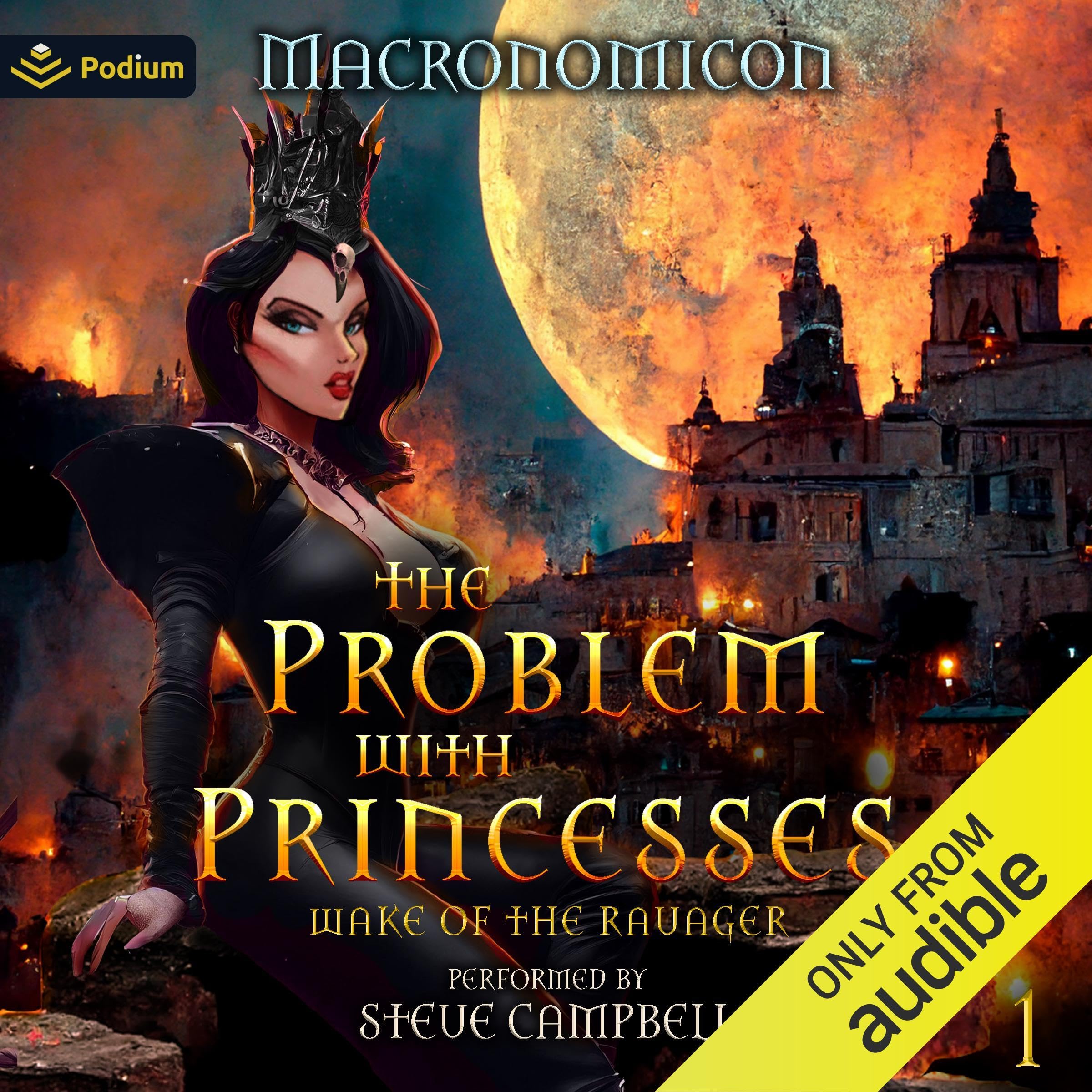 Cover art for The Problem with Princesses