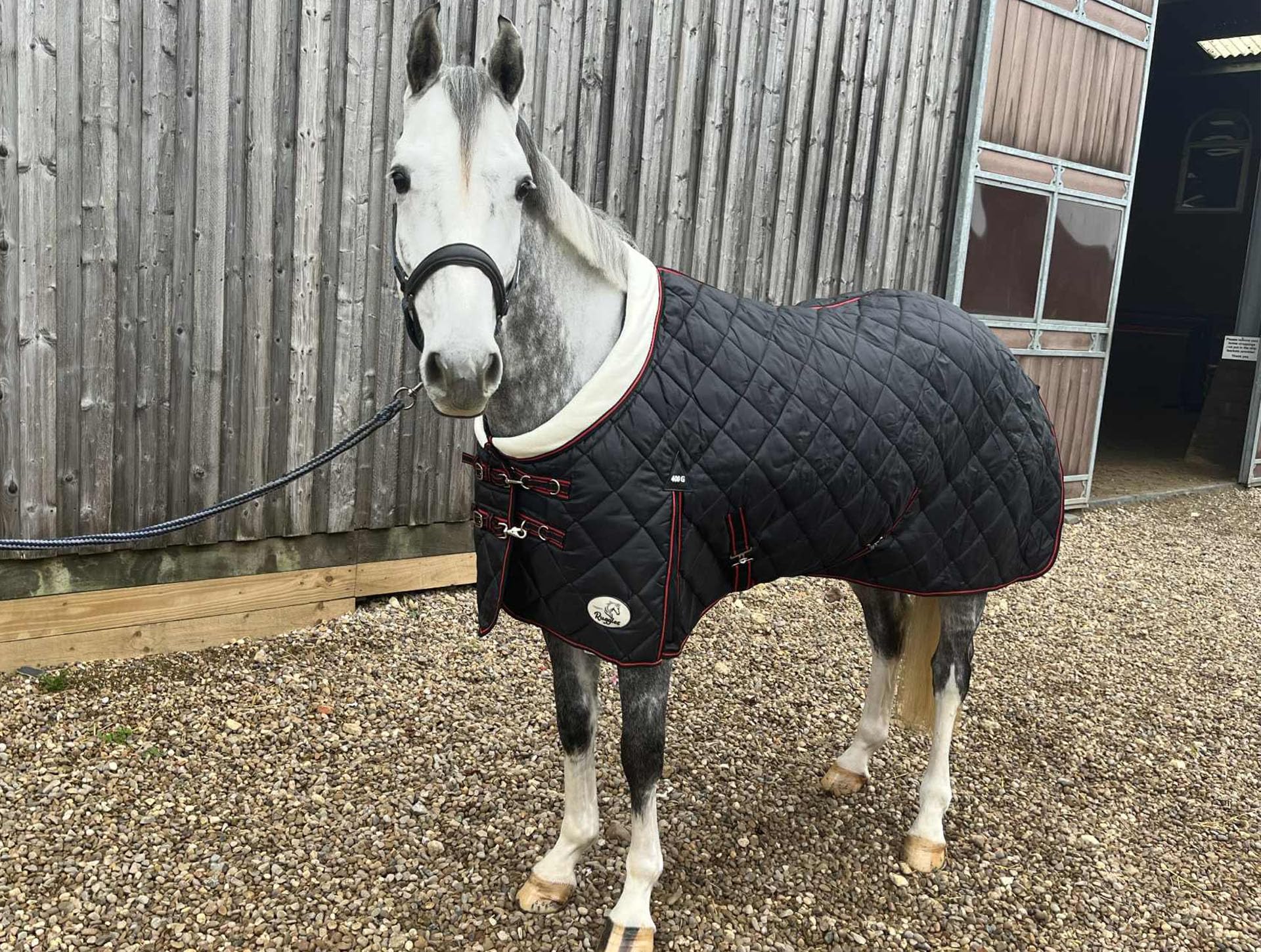 Ruggles 400g Heavyweight Stable Rug for Horse/Pony | Fleece Collar| Smart warm rug for colder weather (Black, 6' 3")