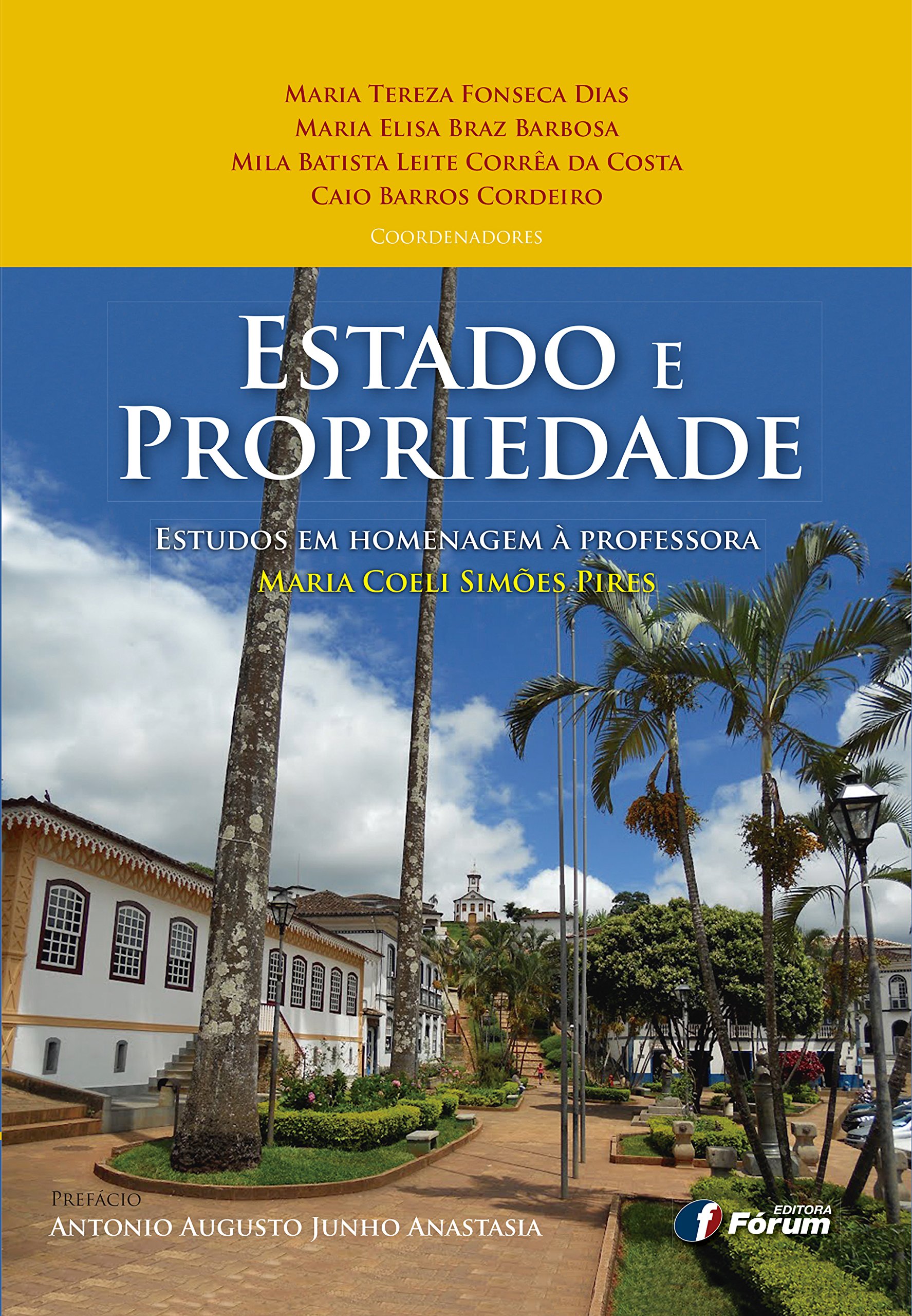 Capa de Estado e propriedade - estudos em homenagem à professora maria coeli simões pires