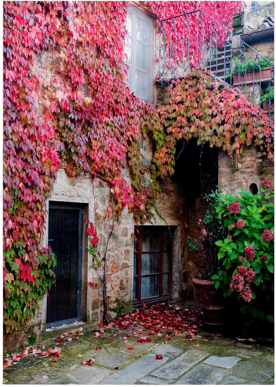 3dRose Italy, Tuscany, Volpaia. Red Ivy Covering the Walls of Buildings. 22x30 Bath Hand Pool Towel