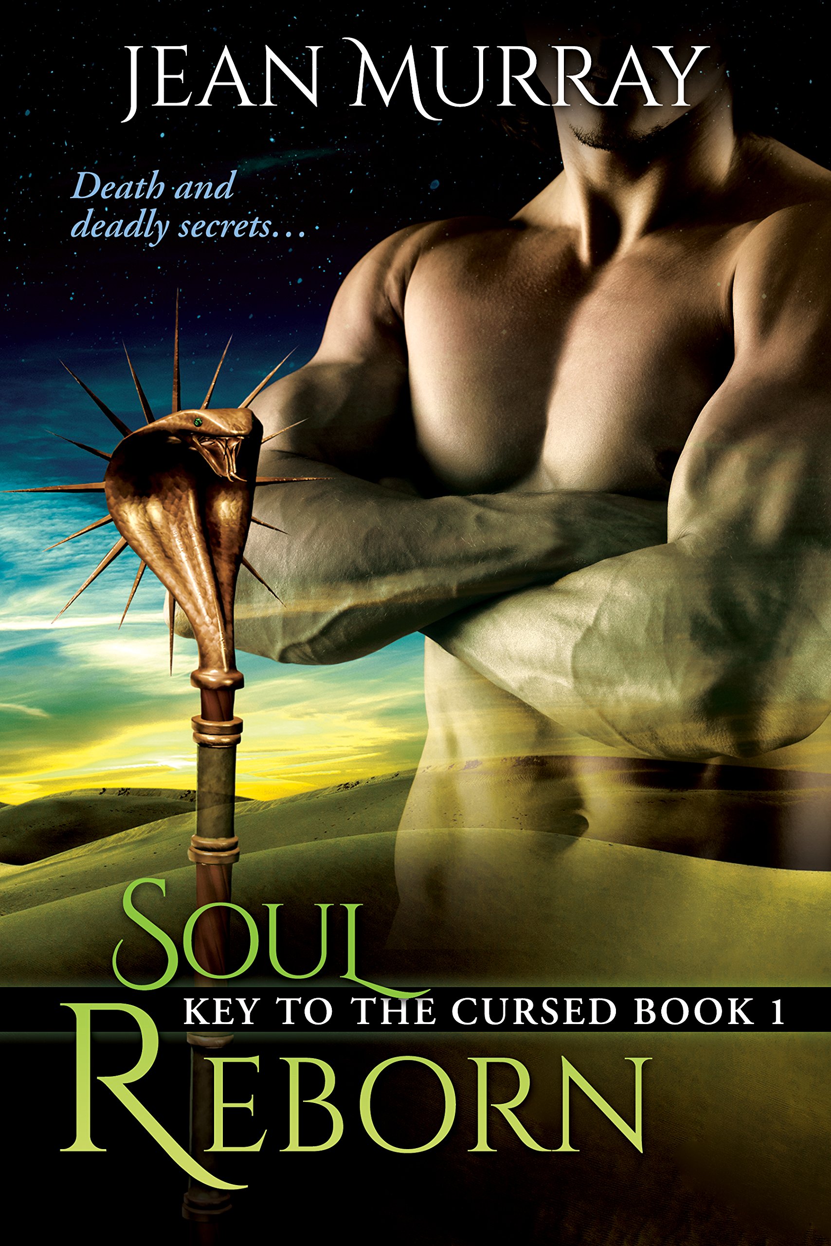Soul Reborn (Key to the Cursed Book 1)