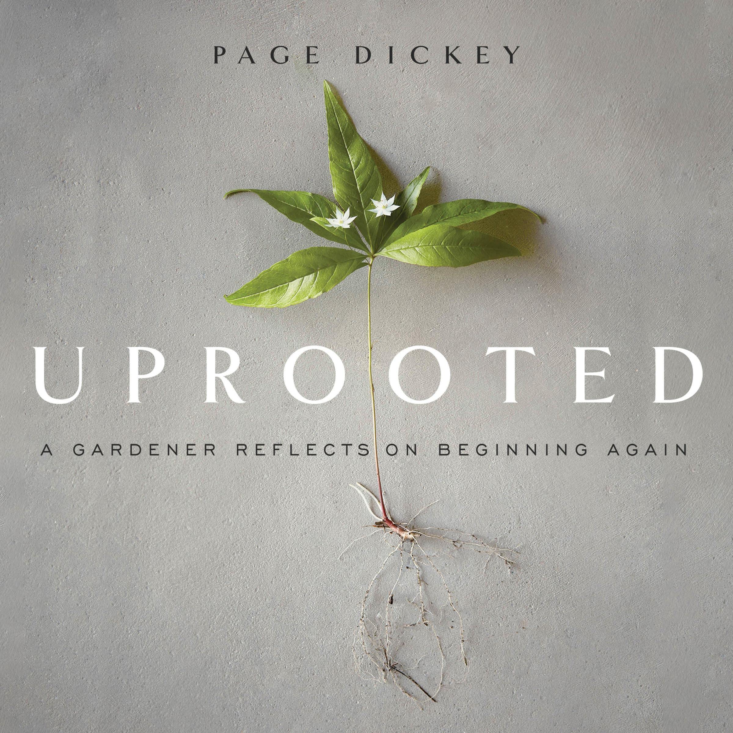 Cover art for Uprooted