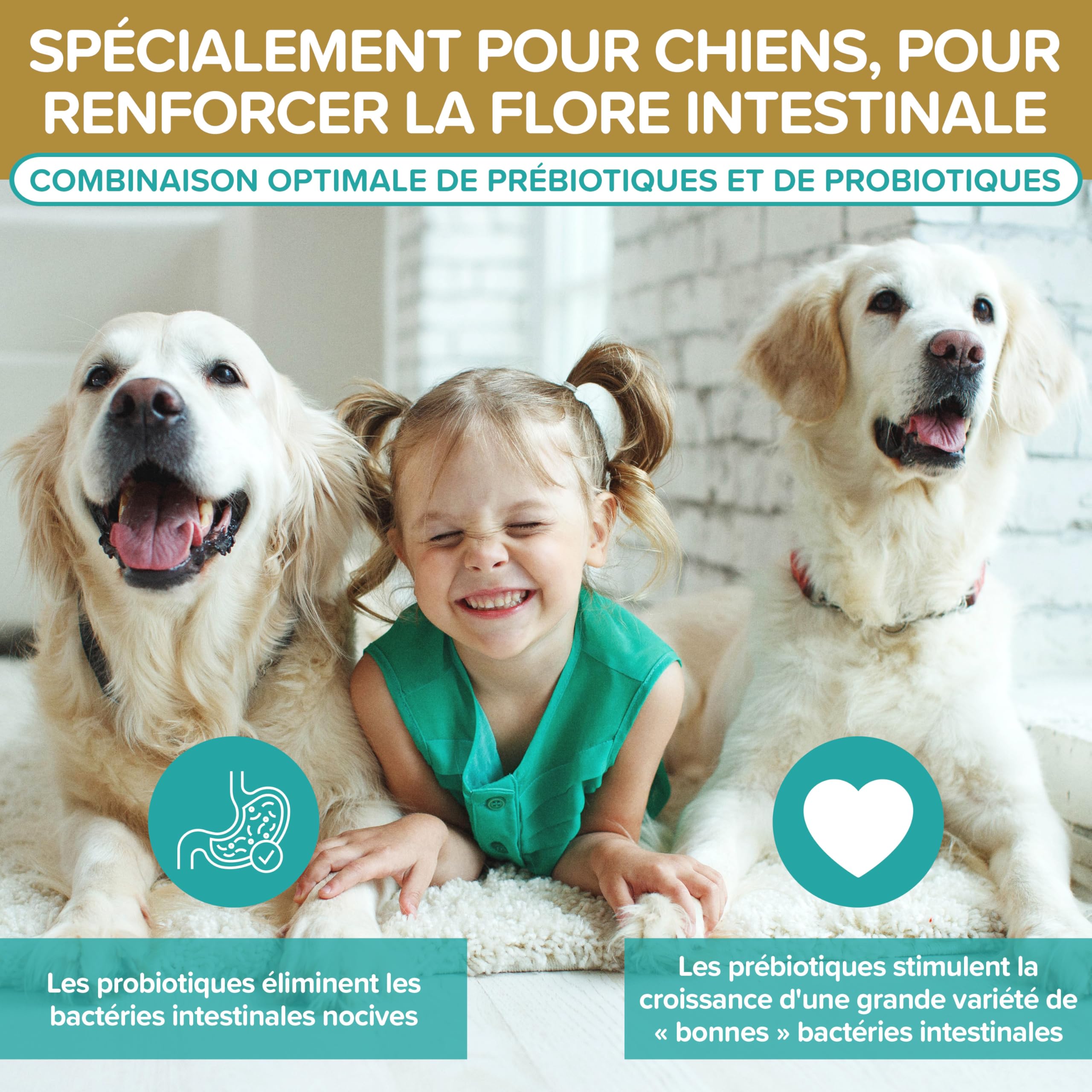 Probiotiques Chiens – Complément Digestif Naturel – Probiotiques Chien pour Santé Intestinale – Bien-être Quotidien avec Probiotiques pour Chiens BAU – 120 Comprimés