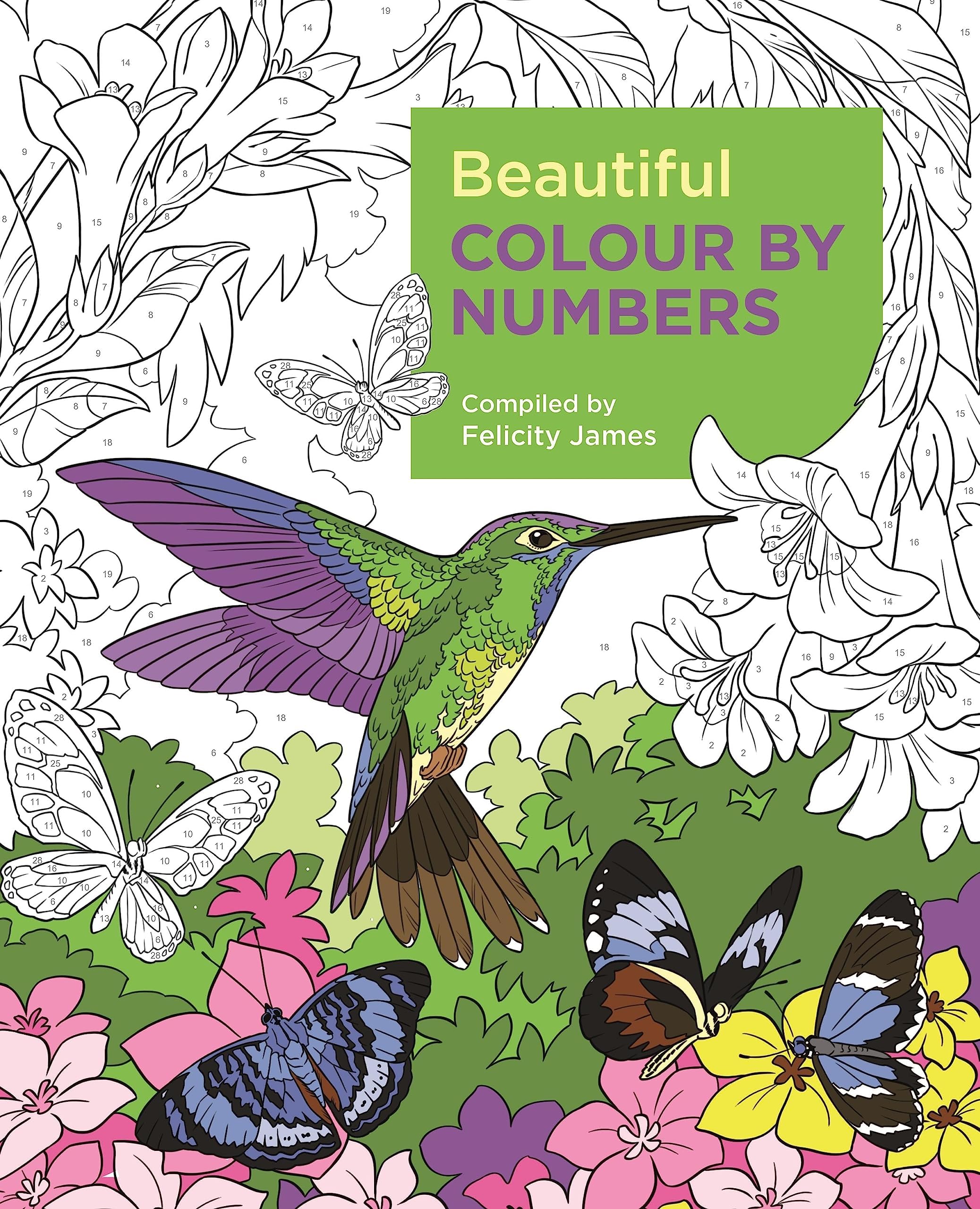 Arcturus Publishing Ltd Beautiful Colour by Numbers