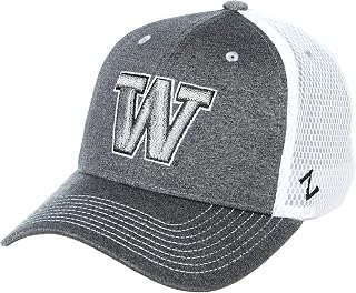 Amazon.com: UW Huskies Hats