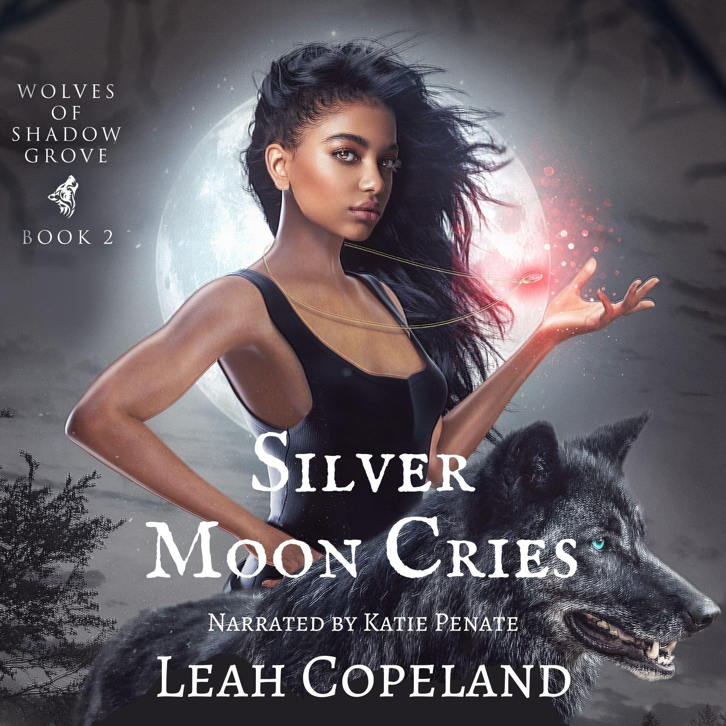 Cover art for Silver Moon Cries
