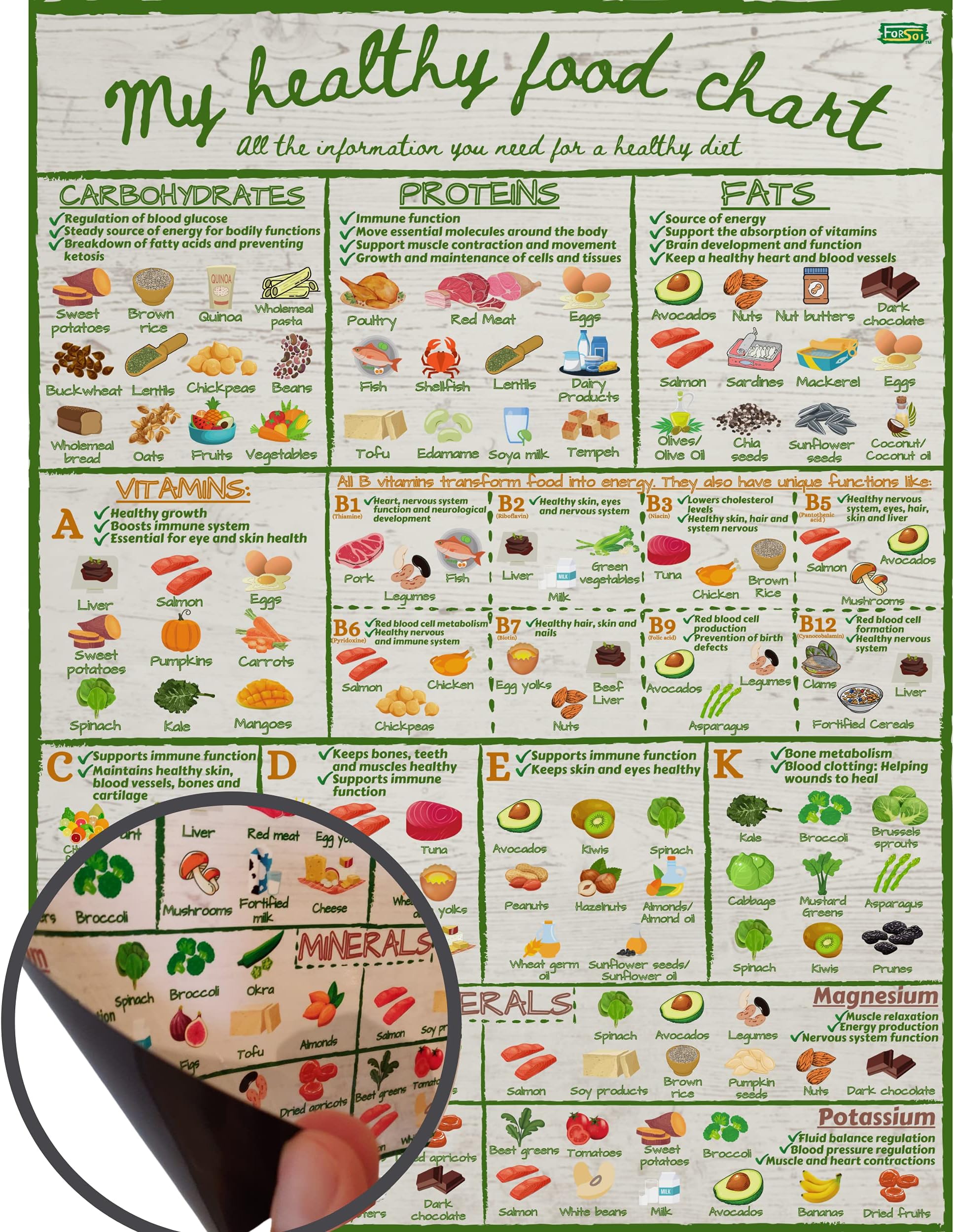 My Healthy Food Chart 12x16 inch - Informative Nutrition Vitamins Minerals Magnetic Fridge Chart Stylish Colourful Water Resistant Kitchen Guide Magnet