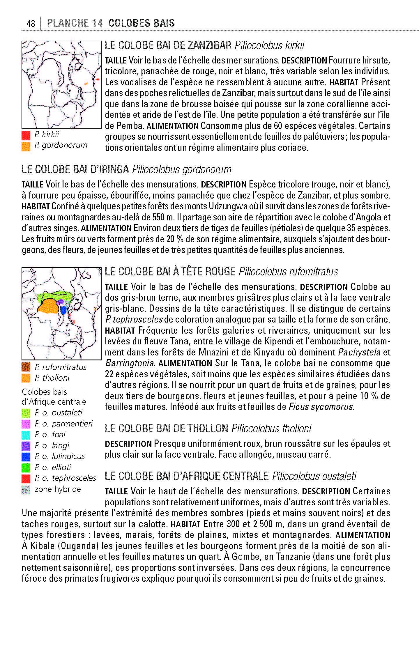 Mammifères d'Afrique: Plus de 300 espèces illustrées
