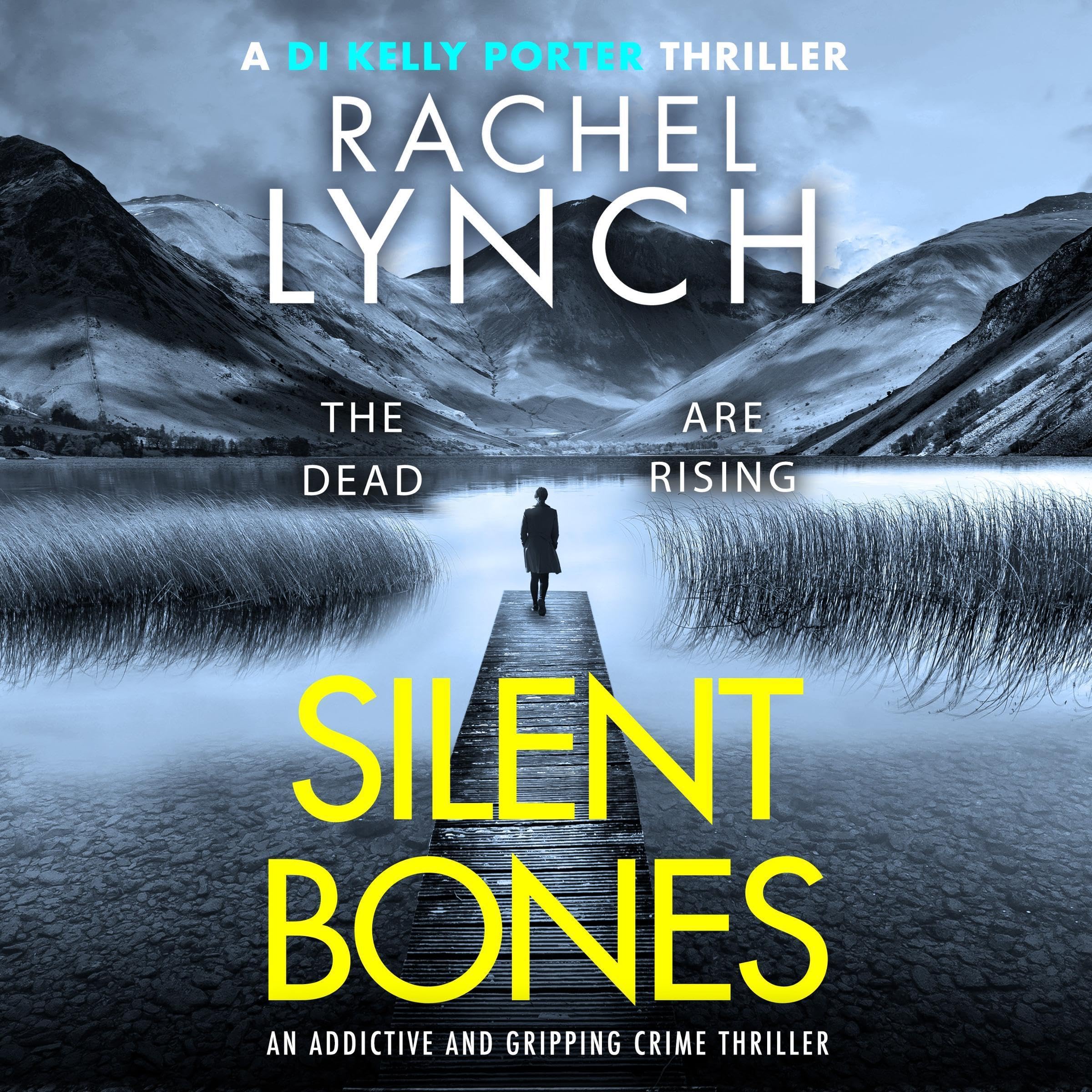 Cover art for Silent Bones