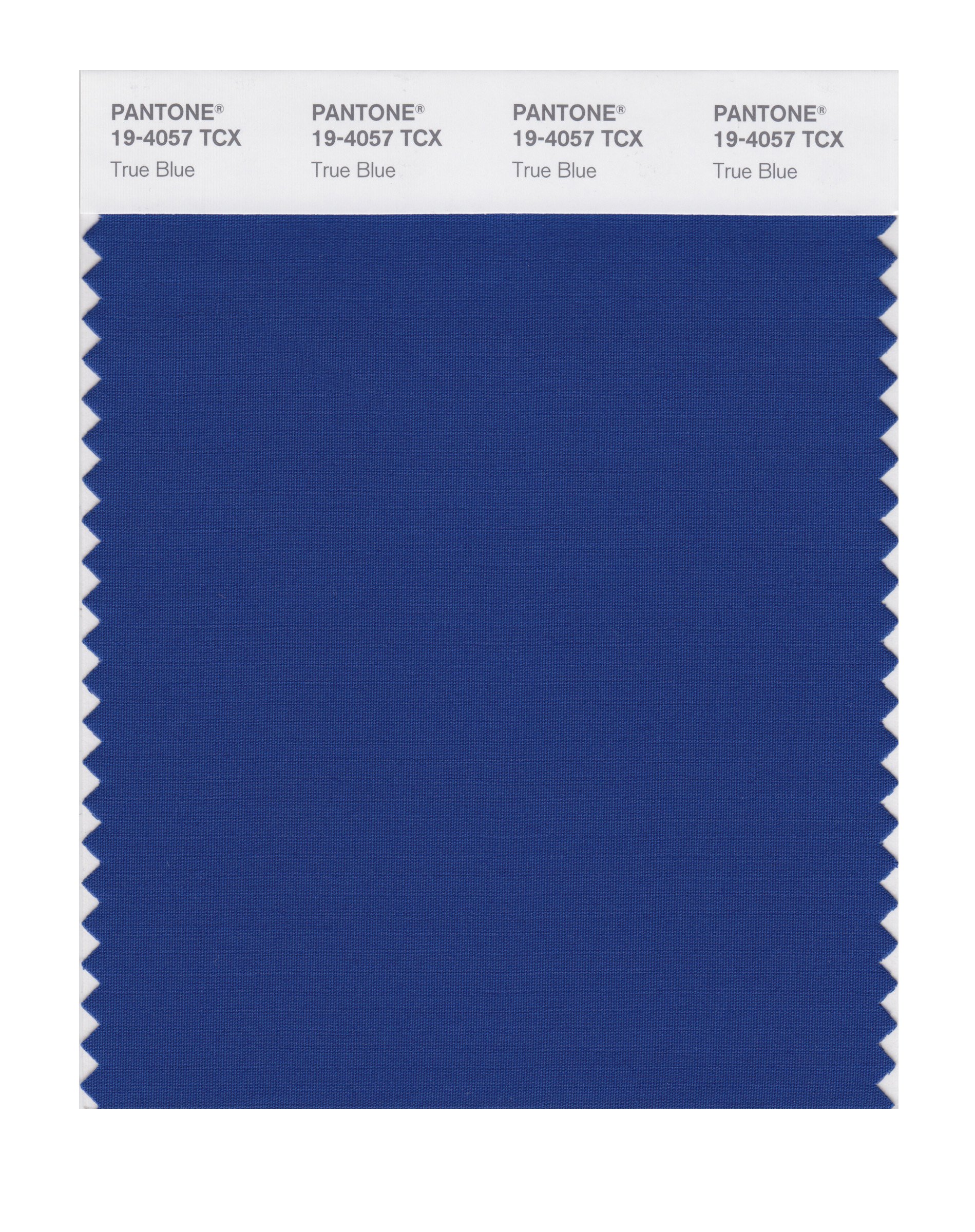 PANTONE Smart 19-4057X Color Swatch Card, True Blue - House Paint