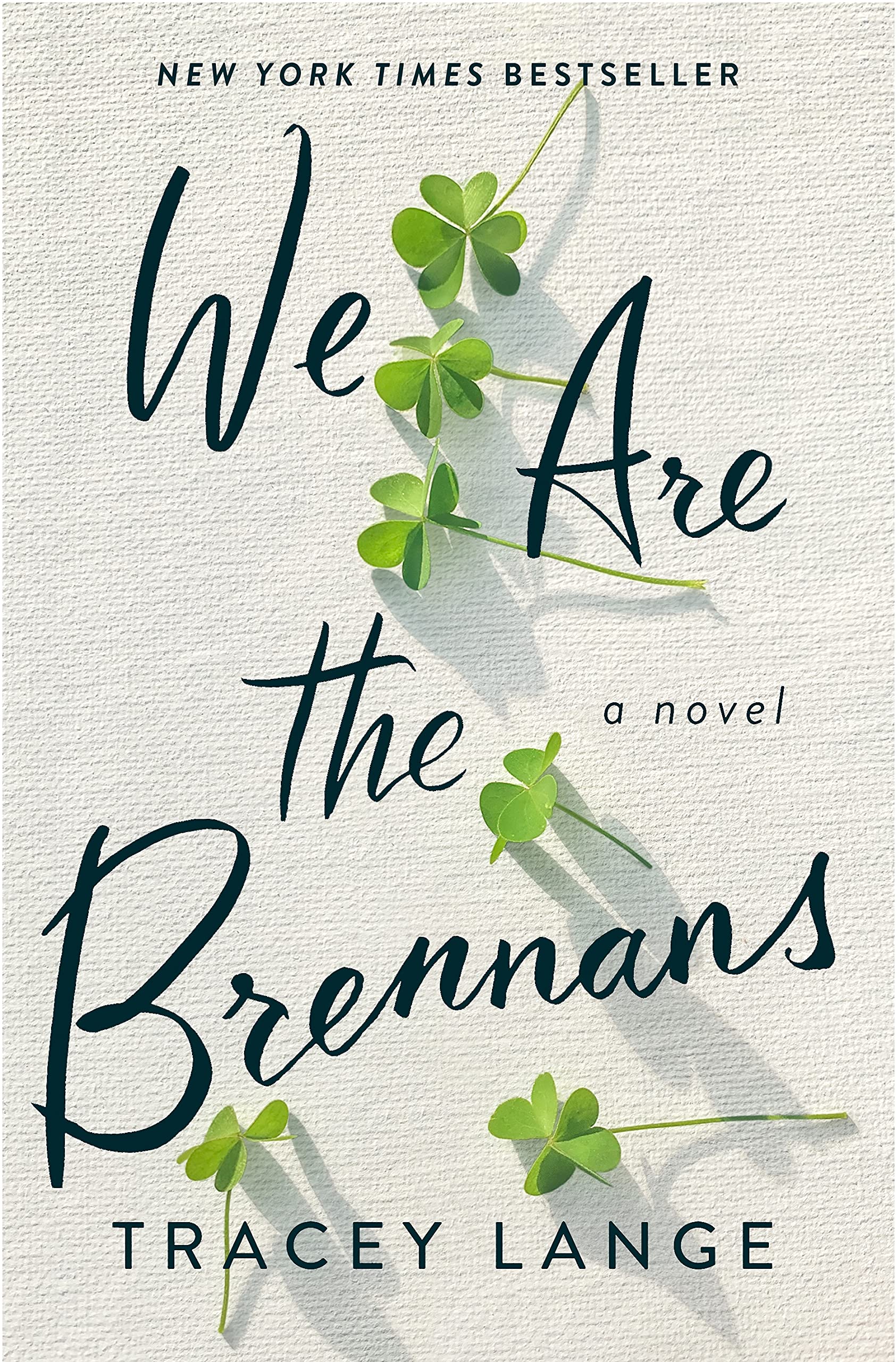 Buy We Are the Brennans — BookShops.in