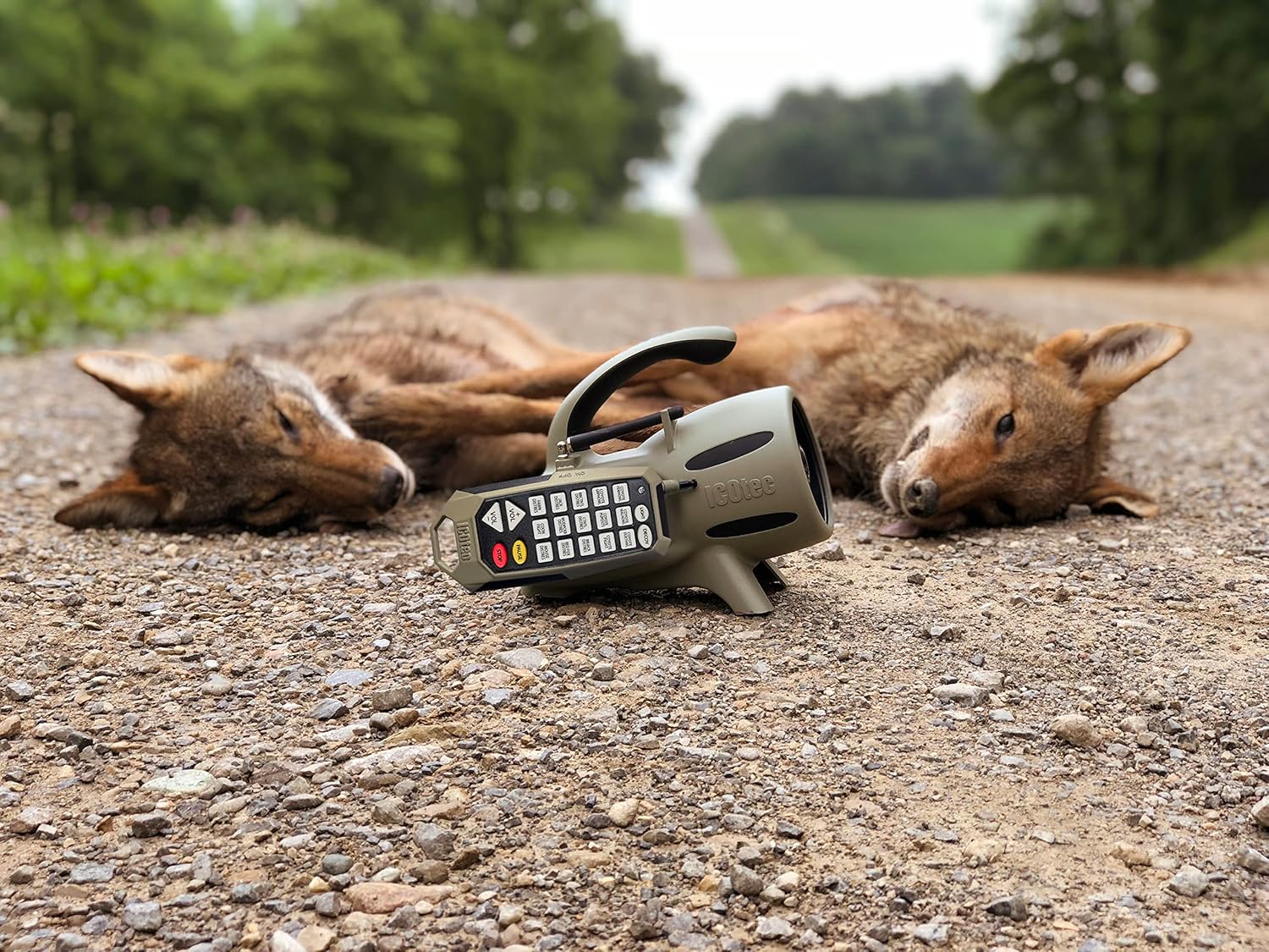Icotec 300+ Predator Call - Great for Coyote Hunting, Fox Hunting, and All Predator Hunting. 300-yard Remote Range. - Image 5