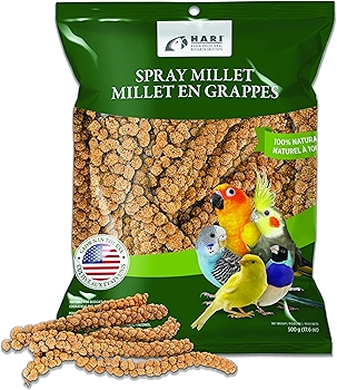 Hari Spray Millet for Birds