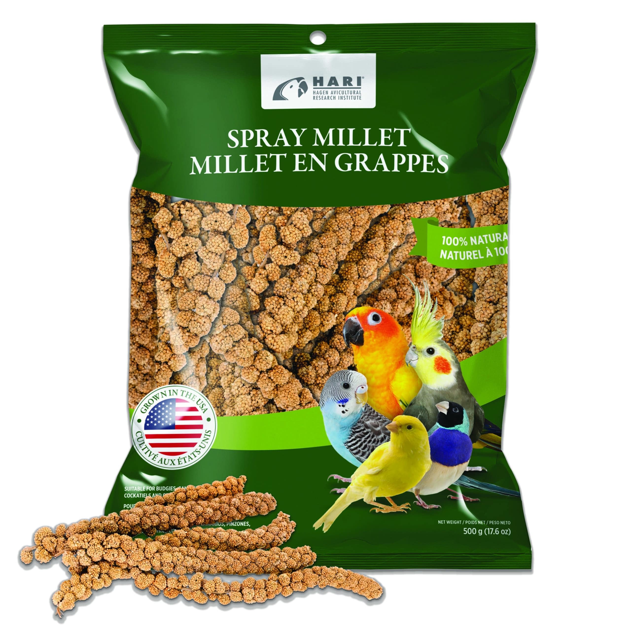 Living World – Millet Spray for Birds, 17.6 Oz – Premium Treat for Budgies, Canaries, Finches, Cockatiels and Other Pet Birds