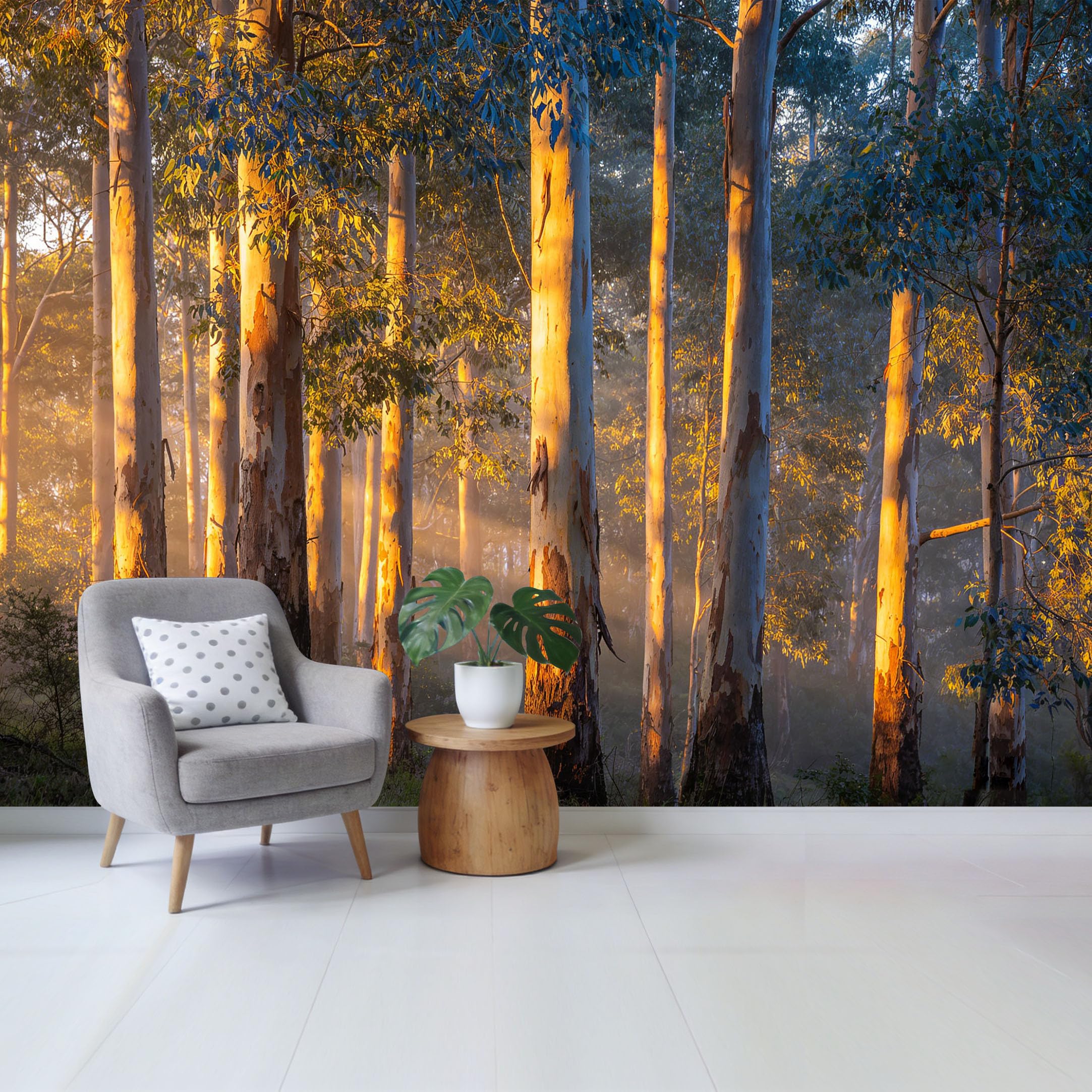 Qzlithotic Yq2605250576 Custom Size Wall Mural Golden Morning Eucalyptus Forest Landscape Sunlight Rays Botanical Scene Selfadhesive Wall Fabric Removable Wallpaper For Home Office Decor