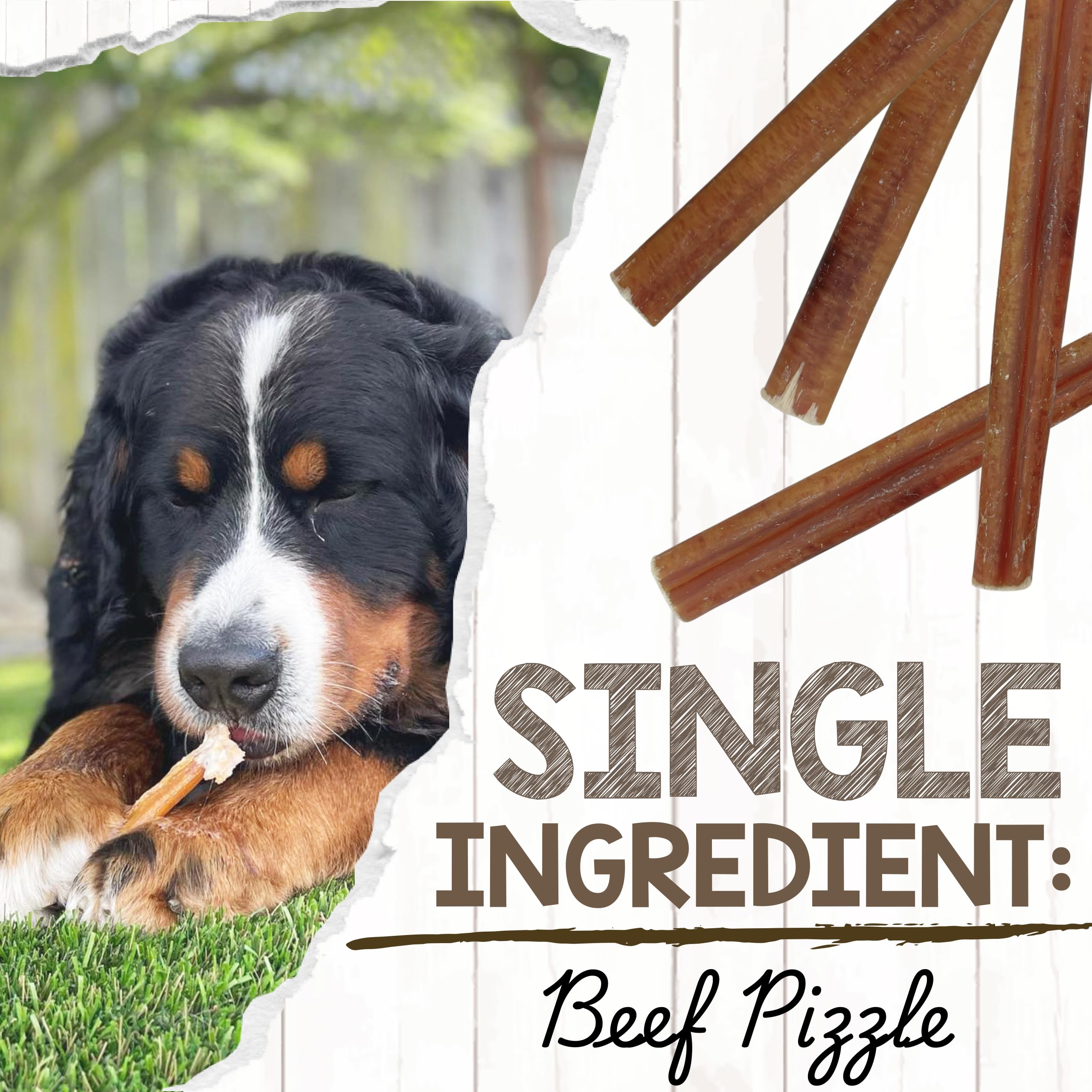 Nature Gnaws Grande bullo bastoni - Tutti Naturale Premio ruspanti Nutrito d'erba Manzo Cane Mastica 5-6"(10 Pacco)
