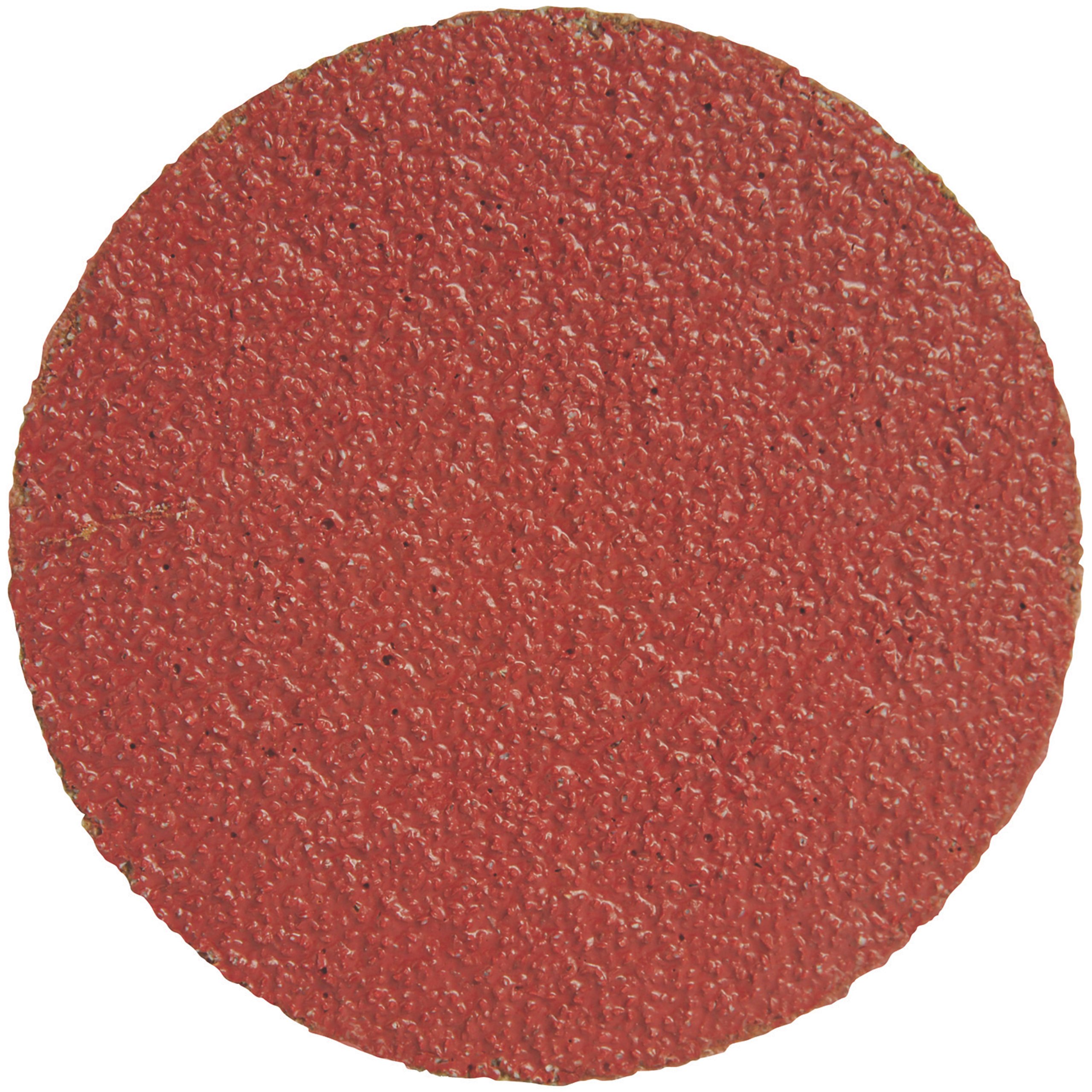 Disque DeWALT XP3 abrasif 5,1 cm grain 60 pour outil rotatif