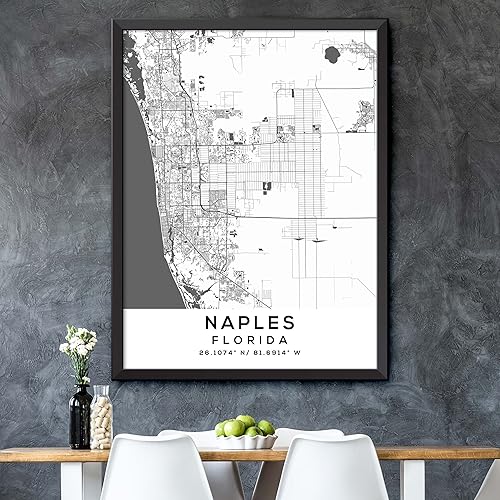 Miniatura 5 de Mapa de Nápoles, Florida, Light 2 (18x24)